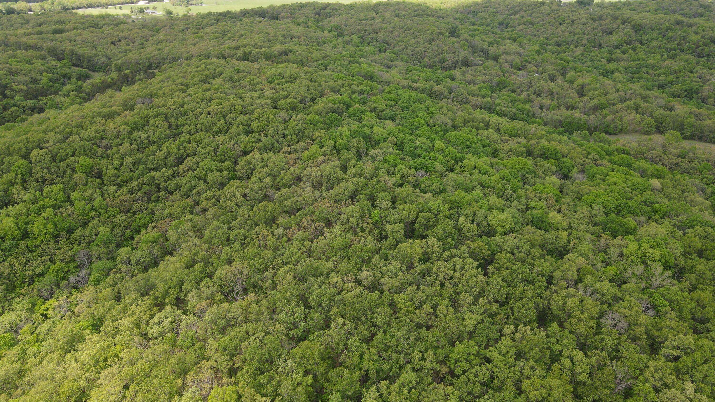 Tbd SE 1121 RD, Deepwater, MO 64740