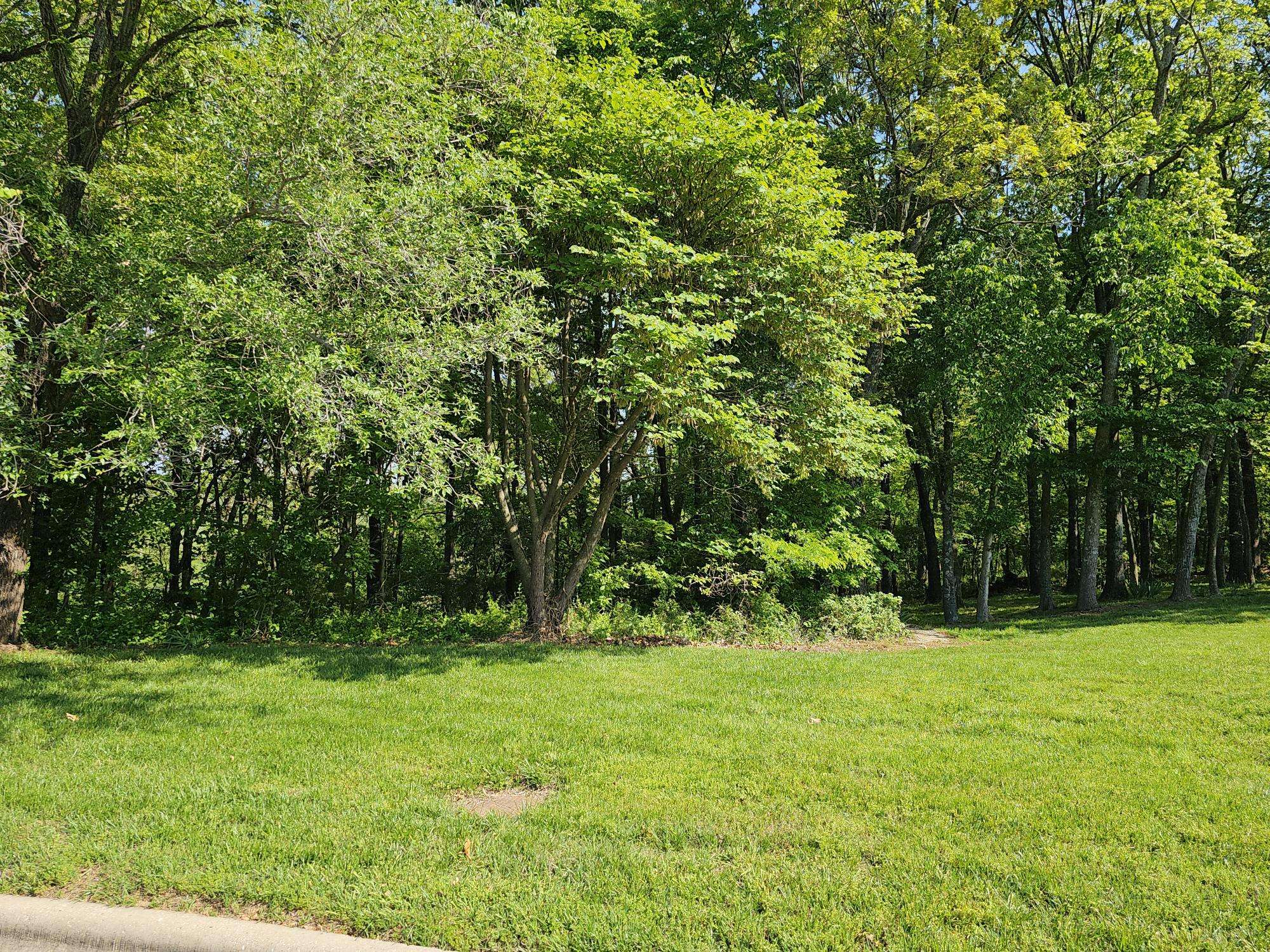 Lot 5 Fox Haven DR, Mt Vernon, MO 65712