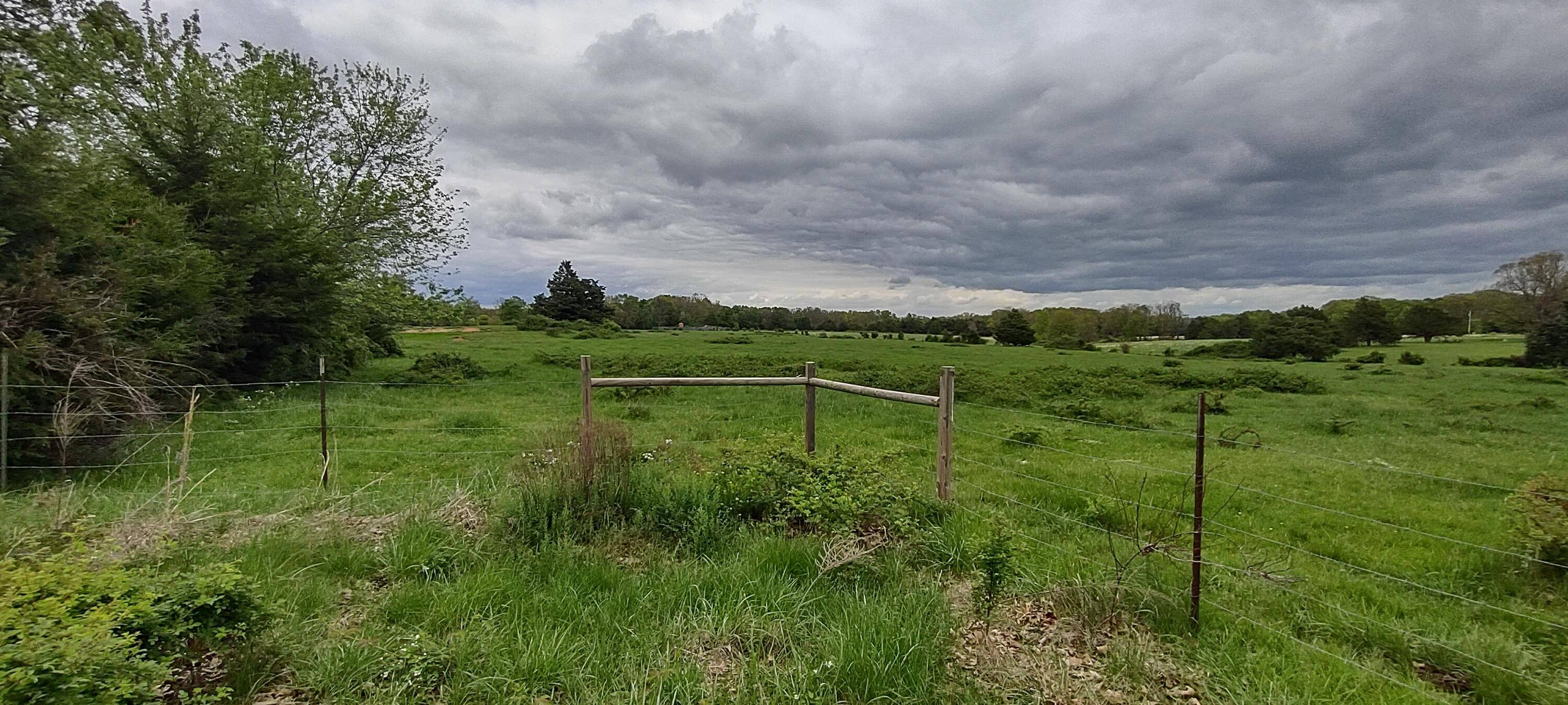 000 Tract 1 & Tract 2, Diggins, MO 65636