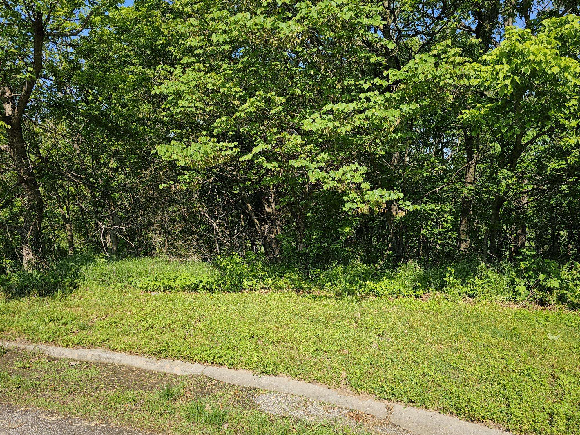 Lot 6 Fox Haven DR, Mt Vernon, MO 65712