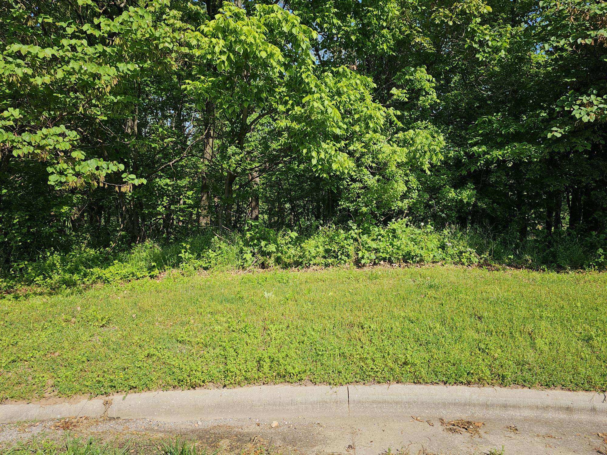 Lot 6 Fox Haven DR, Mt Vernon, MO 65712