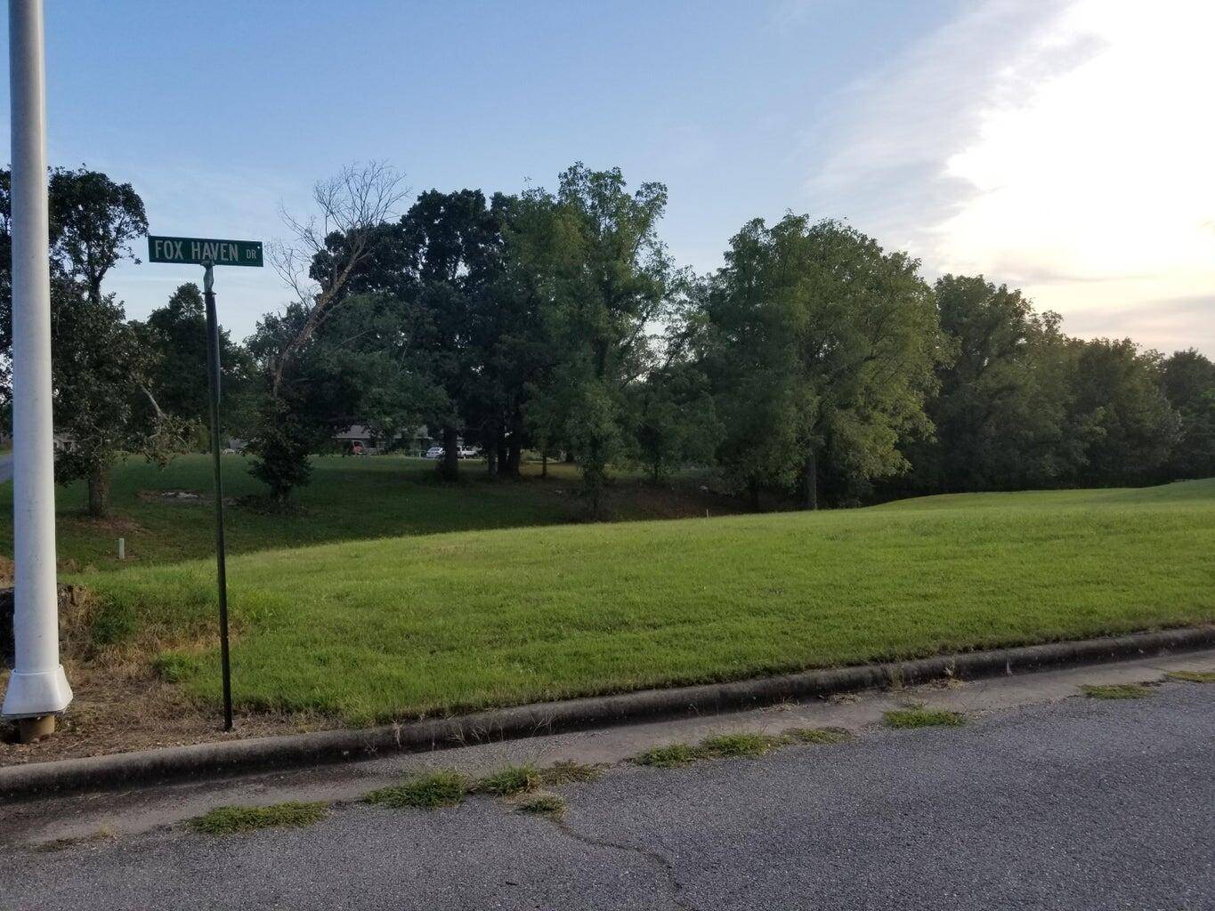 Lot 14 Fox Haven DR, Mt Vernon, MO 65712