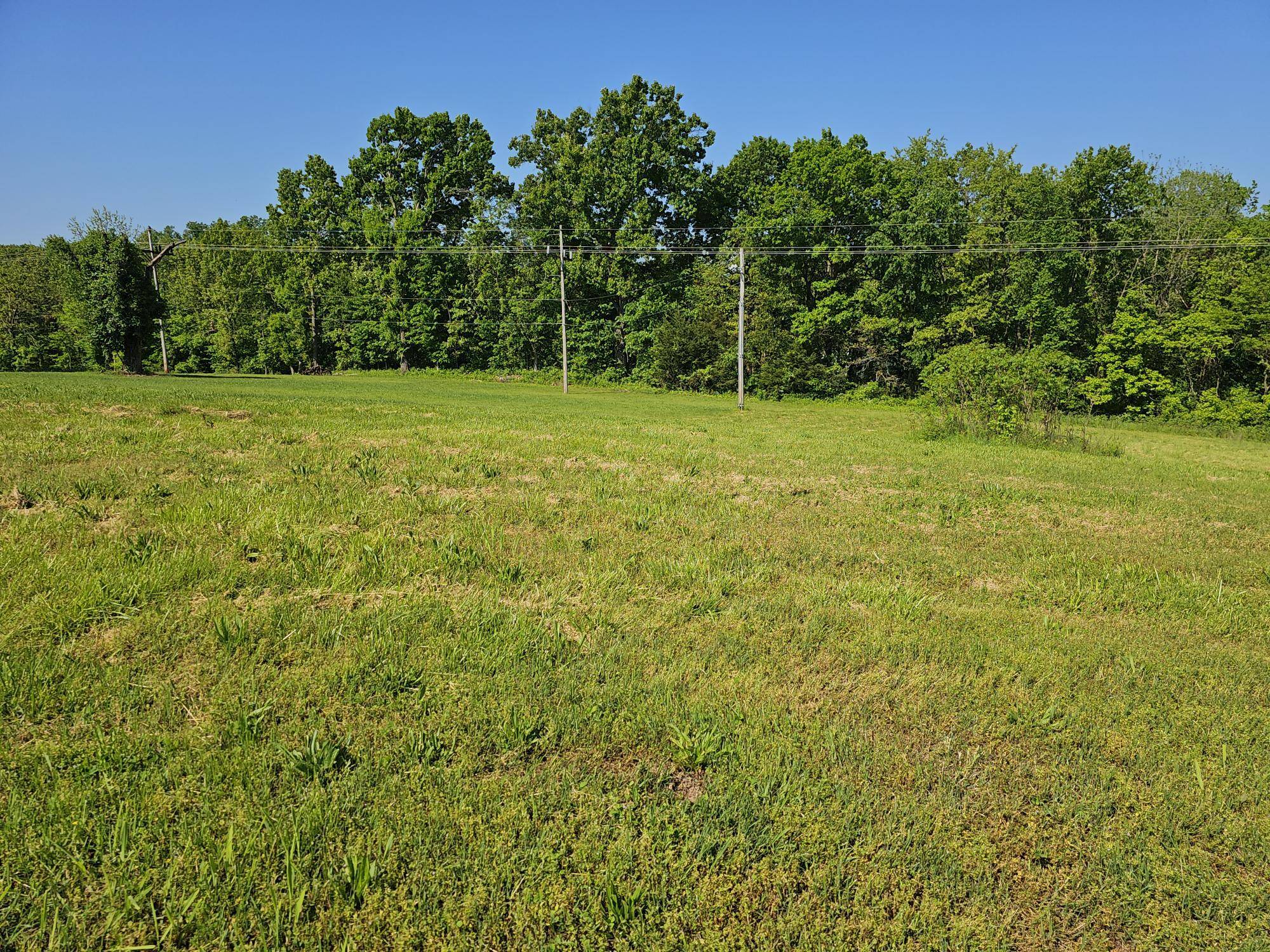 Lot 7 Fox Haven DR, Mt Vernon, MO 65712