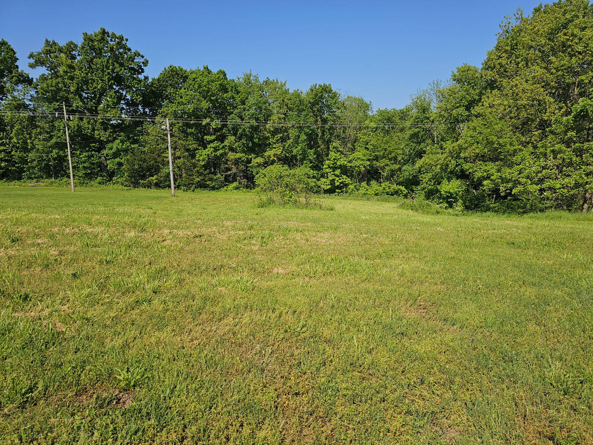 Lot 7 Fox Haven DR, Mt Vernon, MO 65712