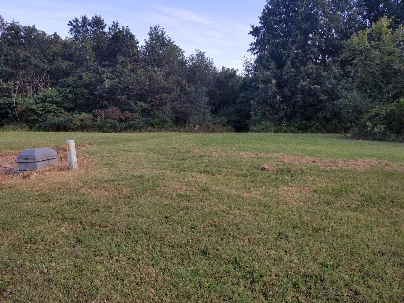 Lot 10 Fox Haven DR, Mt Vernon, MO 65712