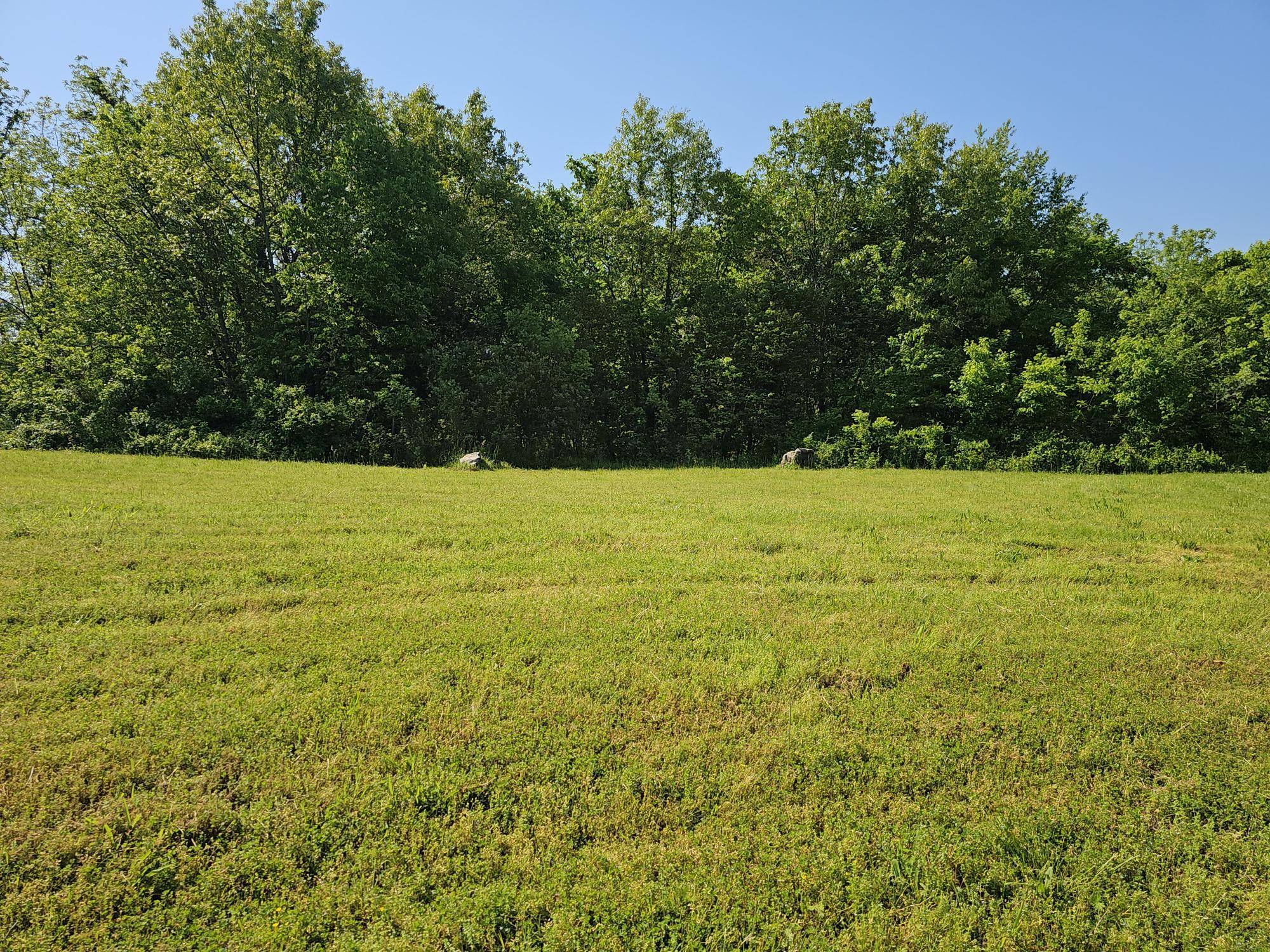 Lot 10 Fox Haven DR, Mt Vernon, MO 65712