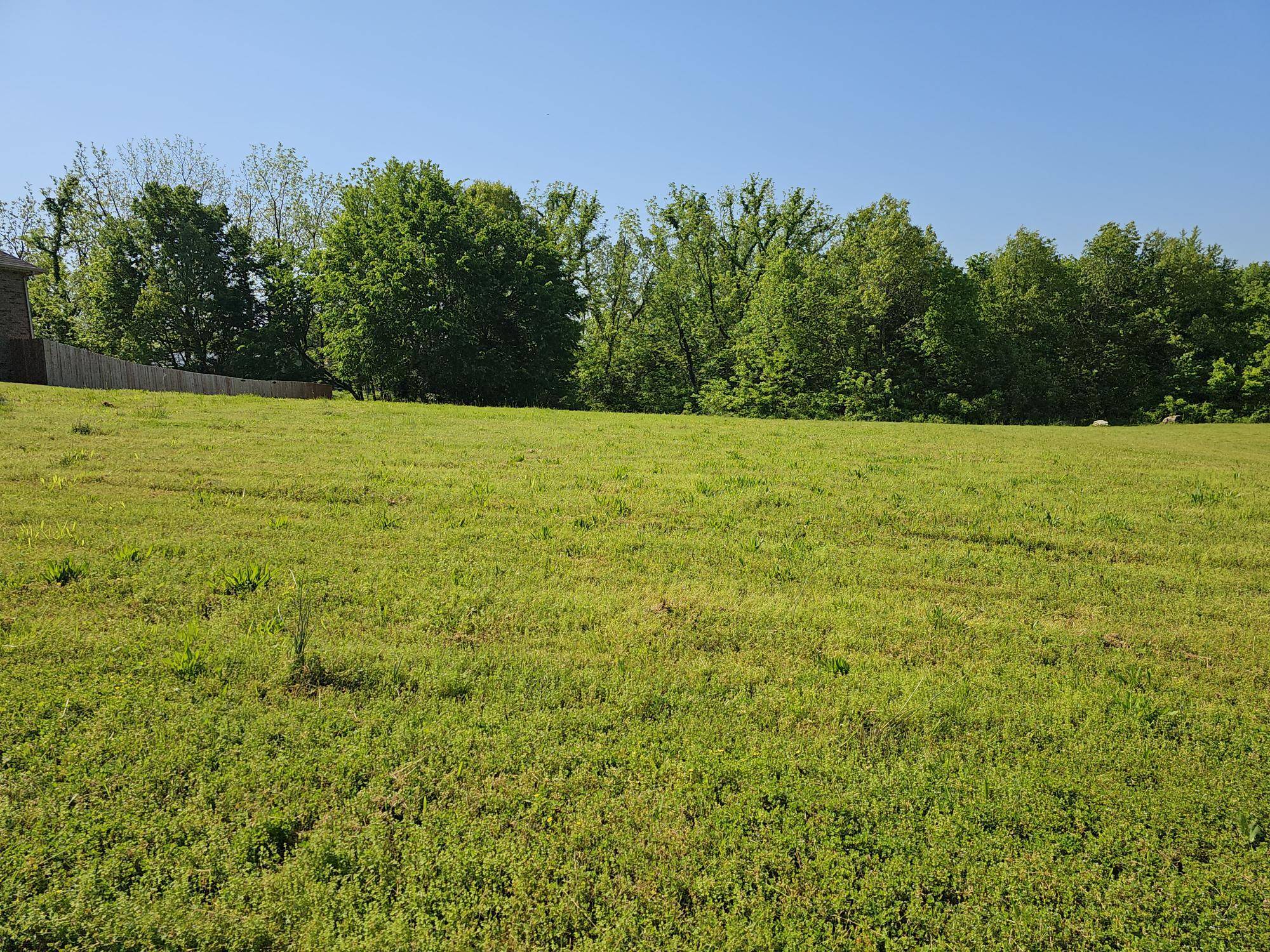 Lot 11 Fox Haven DR, Mt Vernon, MO 65712