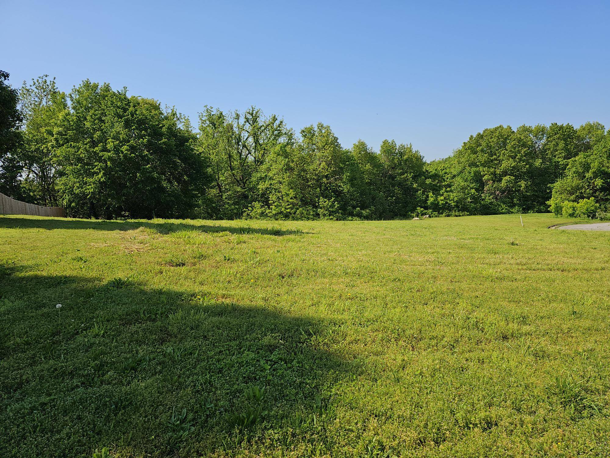 Lot 11 Fox Haven DR, Mt Vernon, MO 65712
