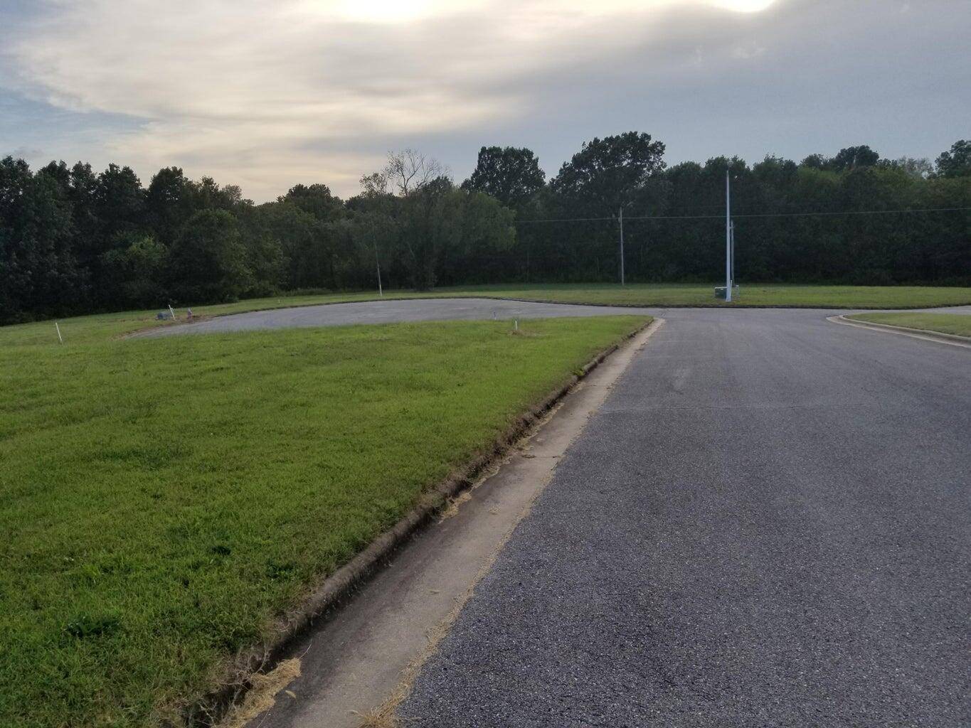 Lot 11 Fox Haven DR, Mt Vernon, MO 65712