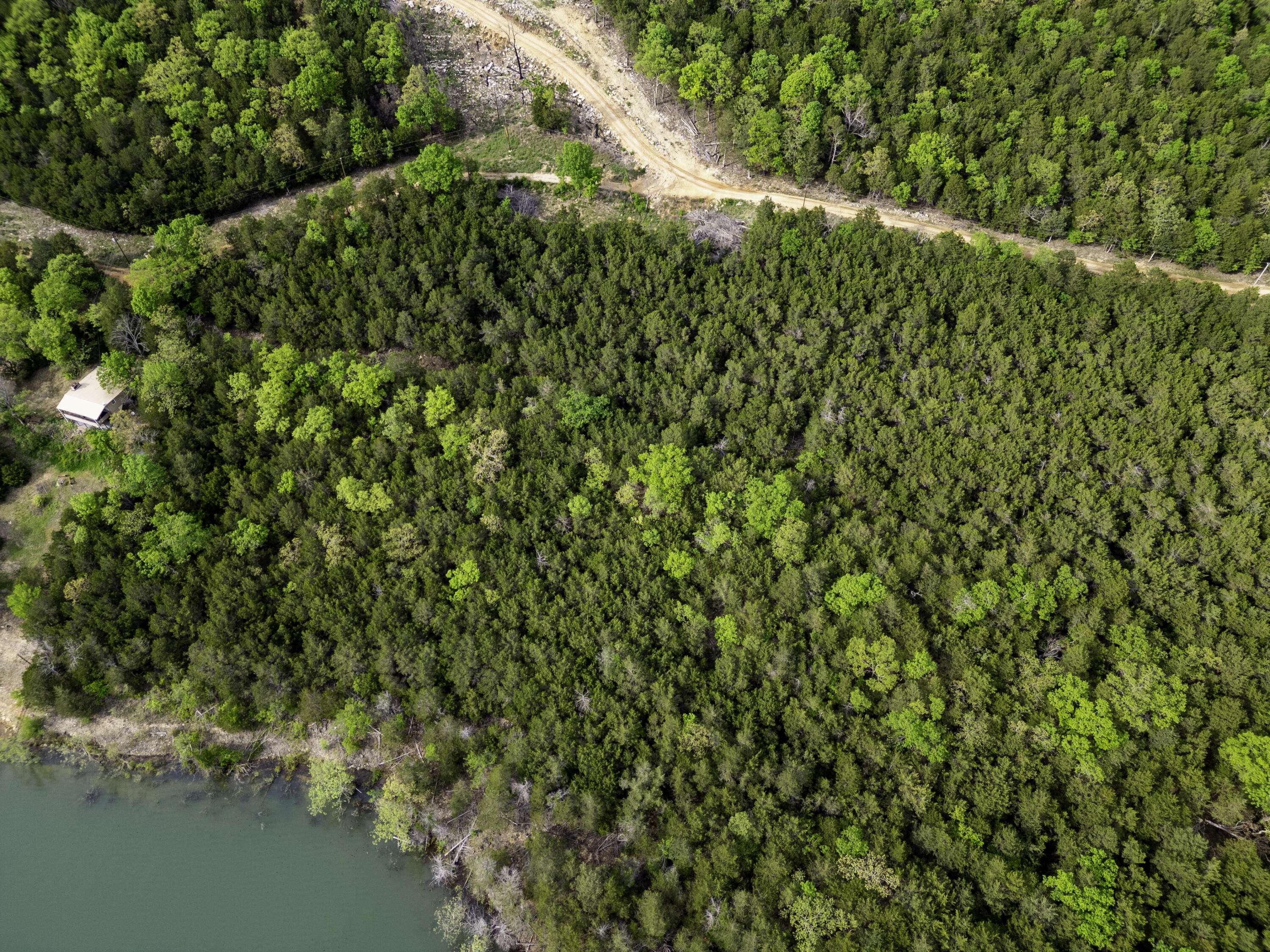 000 Bobcat Ridge Rd., Shell Knob, MO 65747