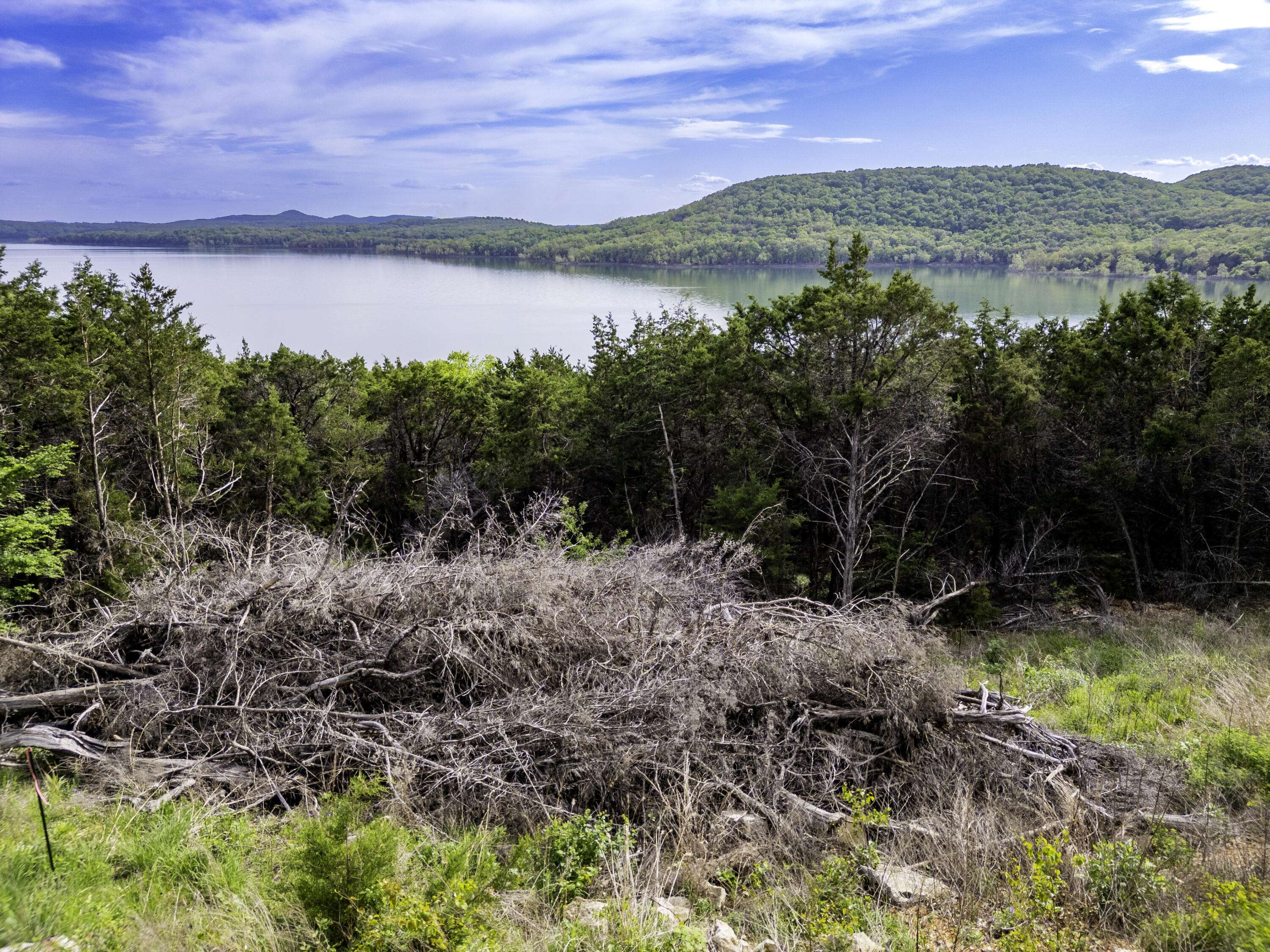 000 Bobcat Ridge Rd., Shell Knob, MO 65747