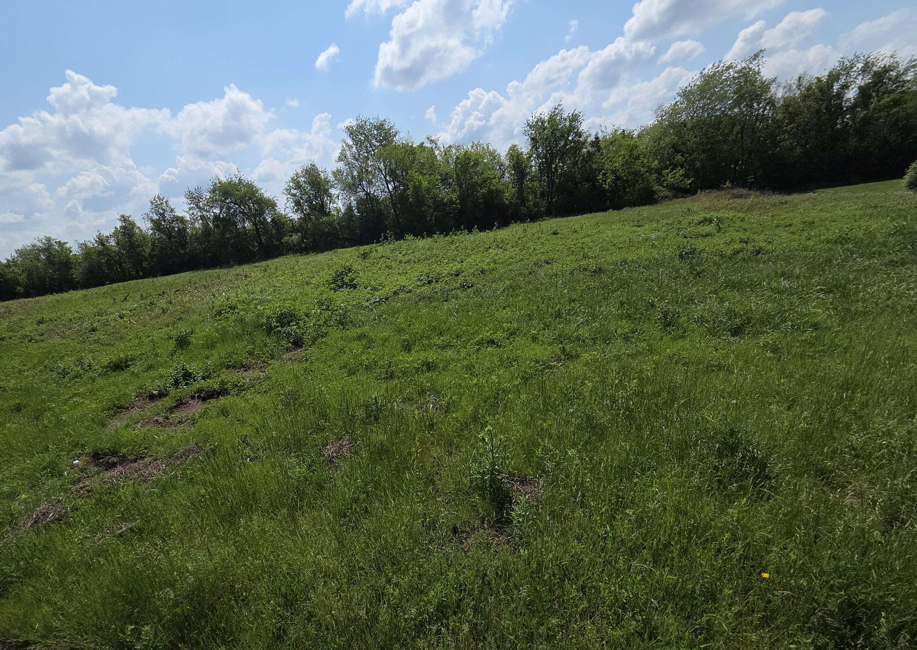 970 N Autin LN #Lot 5, Republic, MO 65738