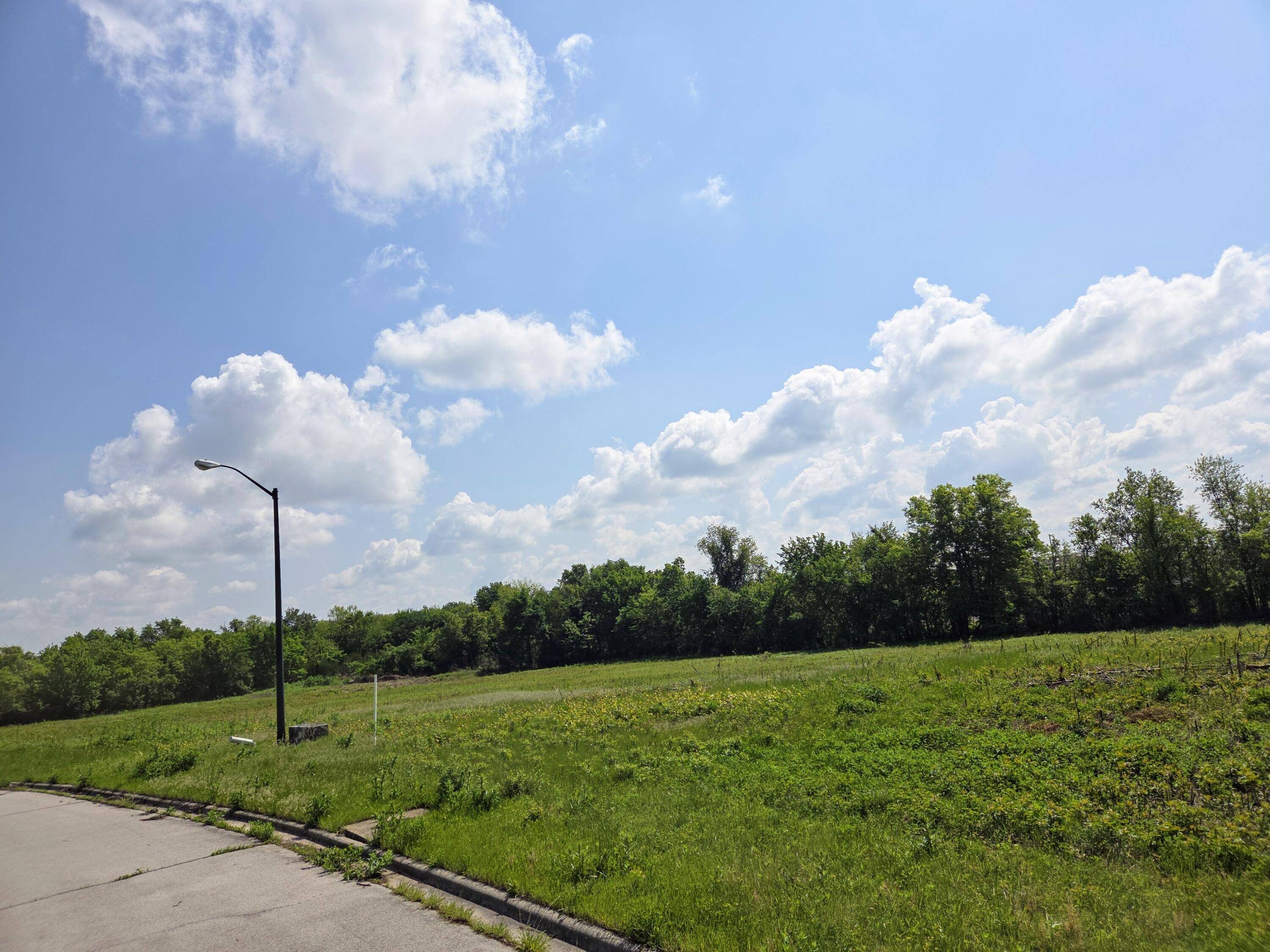 990 N Austin LN #Lot 6, Republic, MO 65738