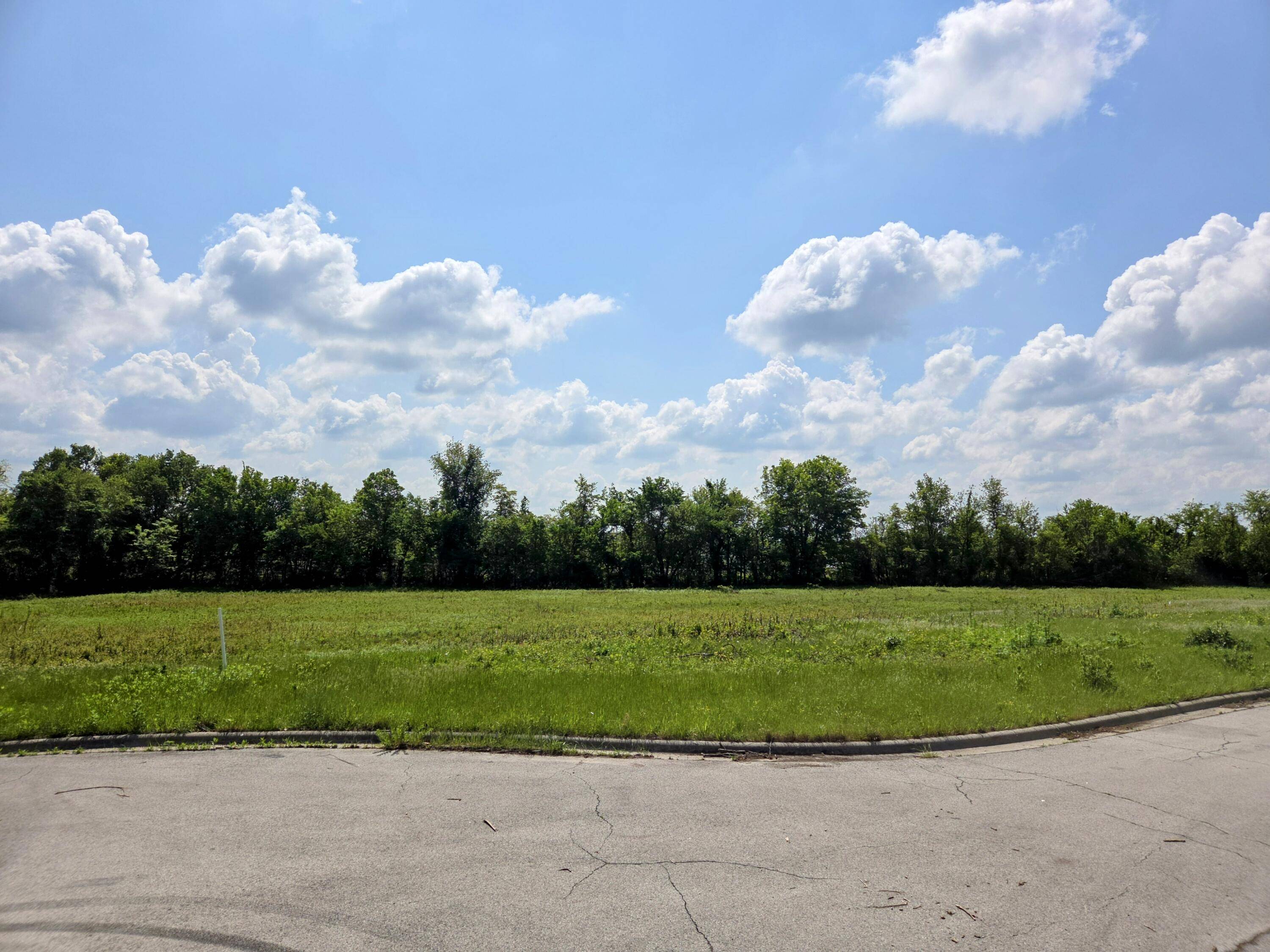 1020 N Austin LN #Lot 7, Republic, MO 65738