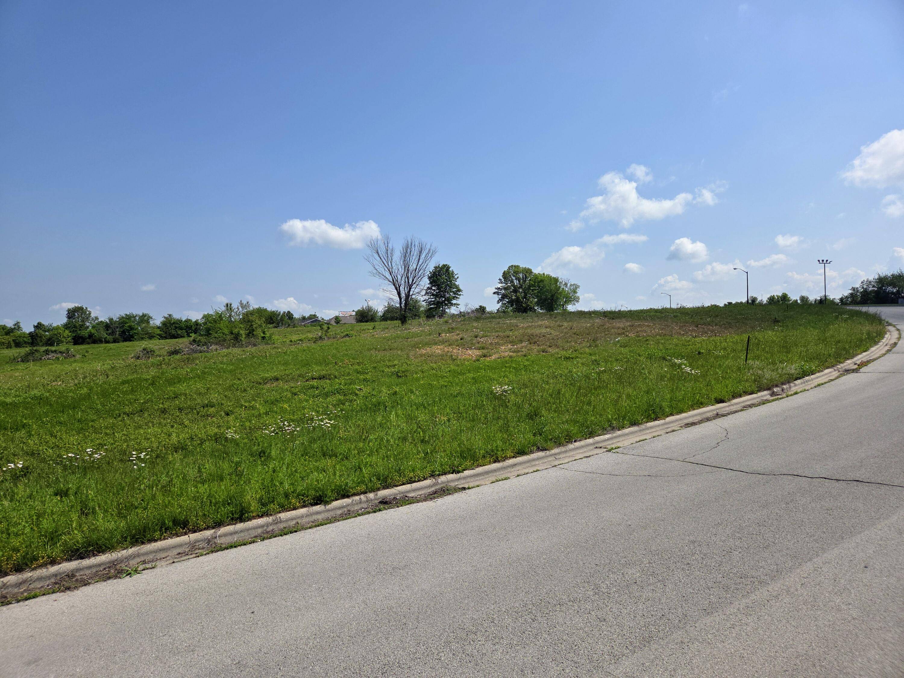 960 N Lindsey AVE #Lot 16, Republic, MO 65738