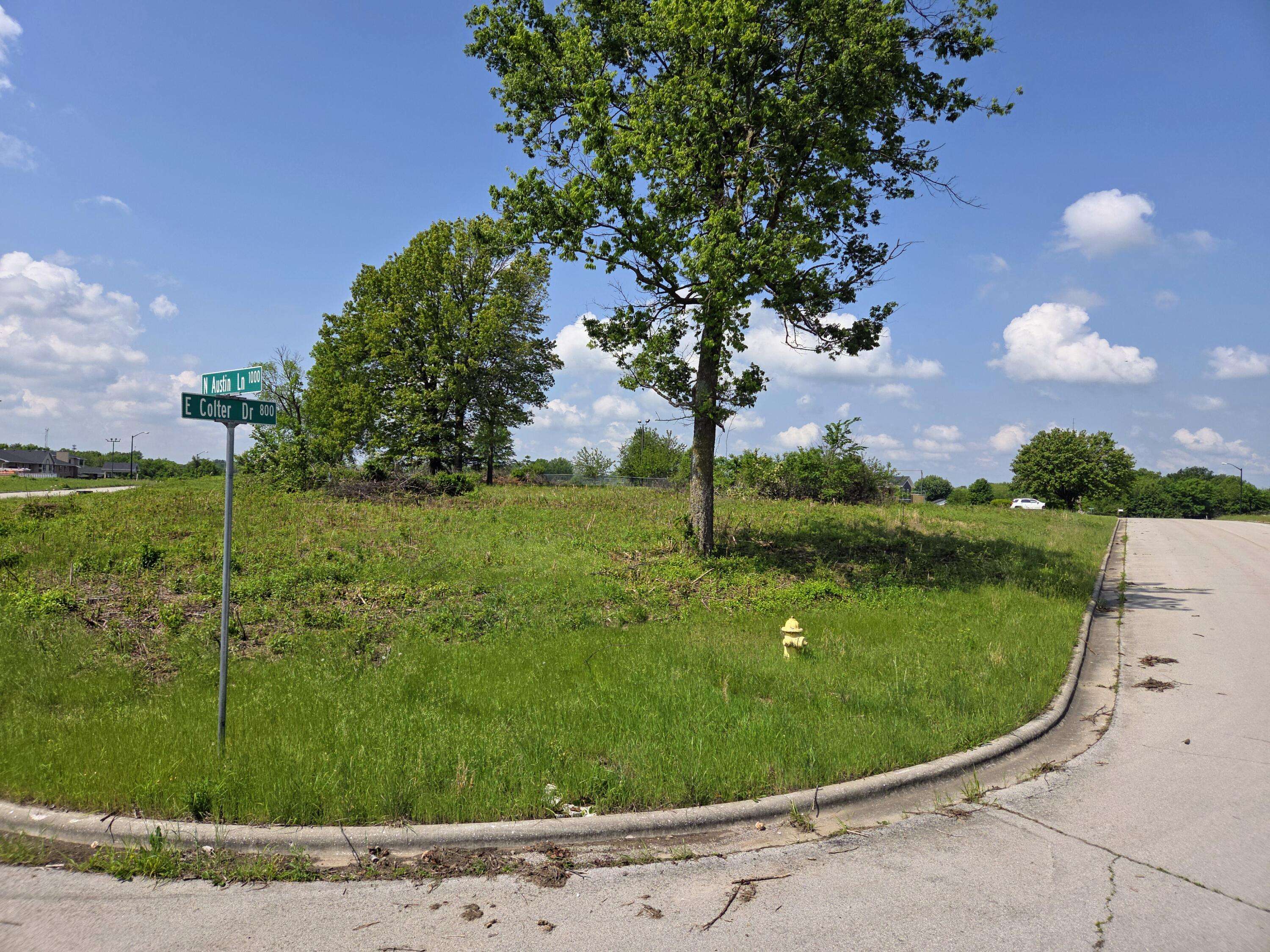 850 E Colter DR #Lot 20, Republic, MO 65738