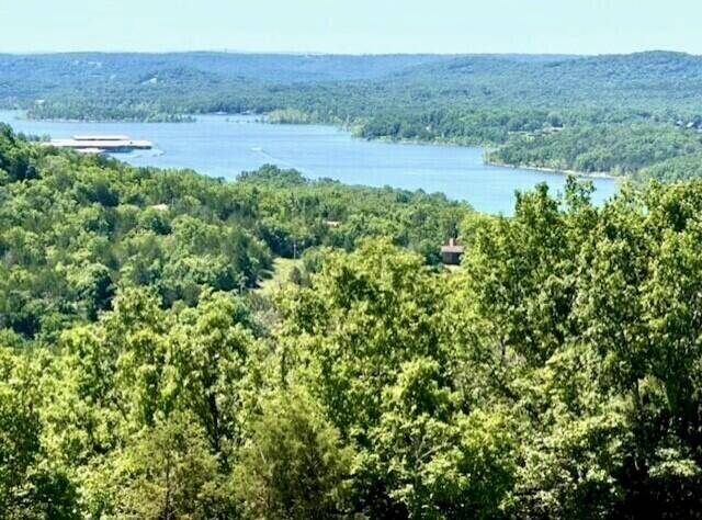 43 Songbird CIR #3, Branson, MO 65616