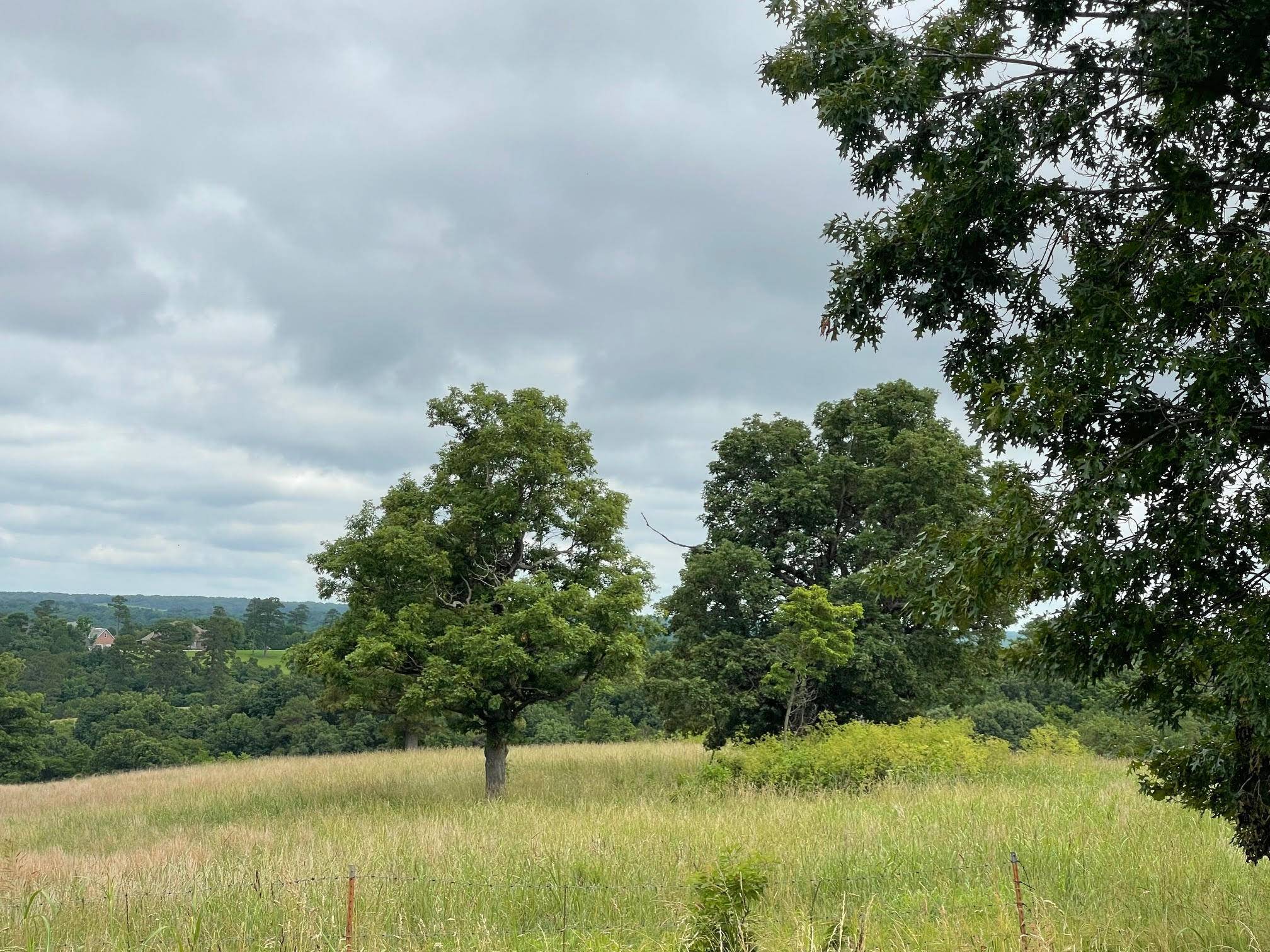 16.7 Ac Turkey Ridge CT, Pineville, MO 64856
