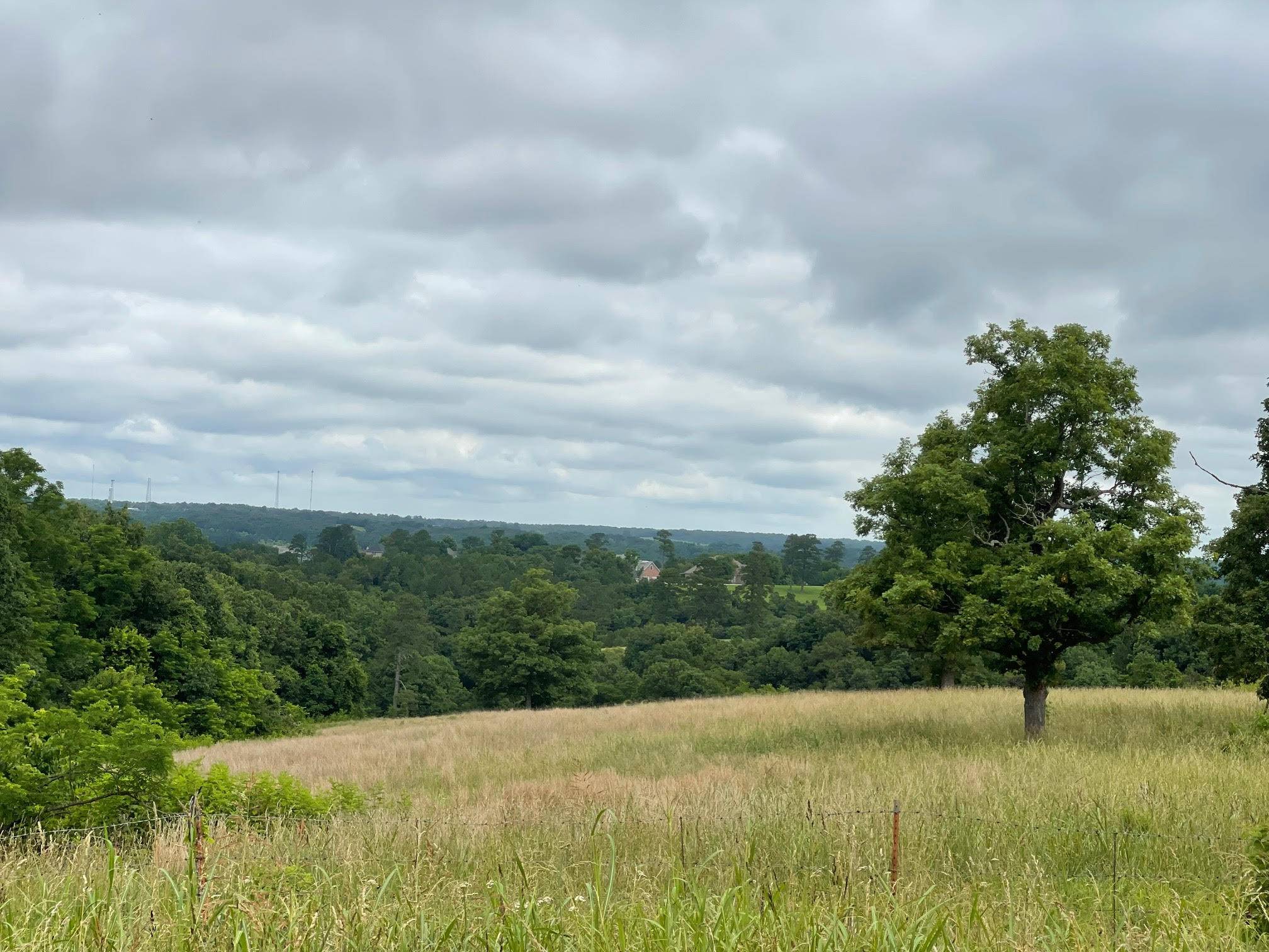 16.7 Ac Turkey Ridge CT, Pineville, MO 64856