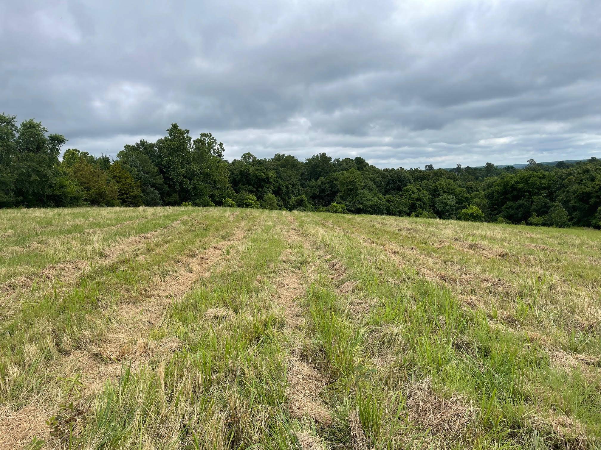 16.7 Ac Turkey Ridge CT, Pineville, MO 64856