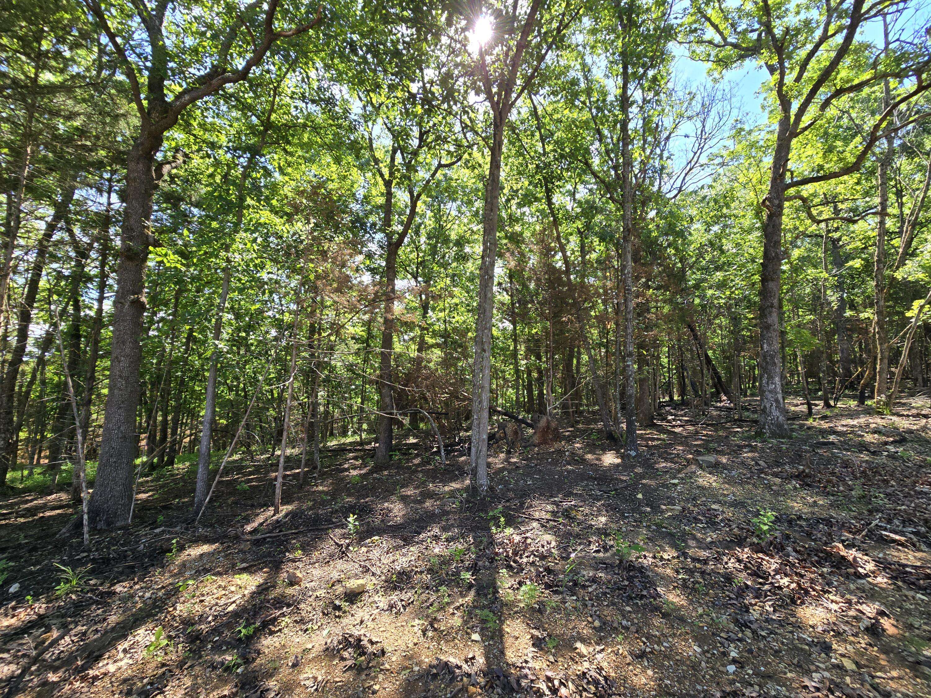 Lot 6 Block 12 Tall Oaks, Pittsburg, MO 65724