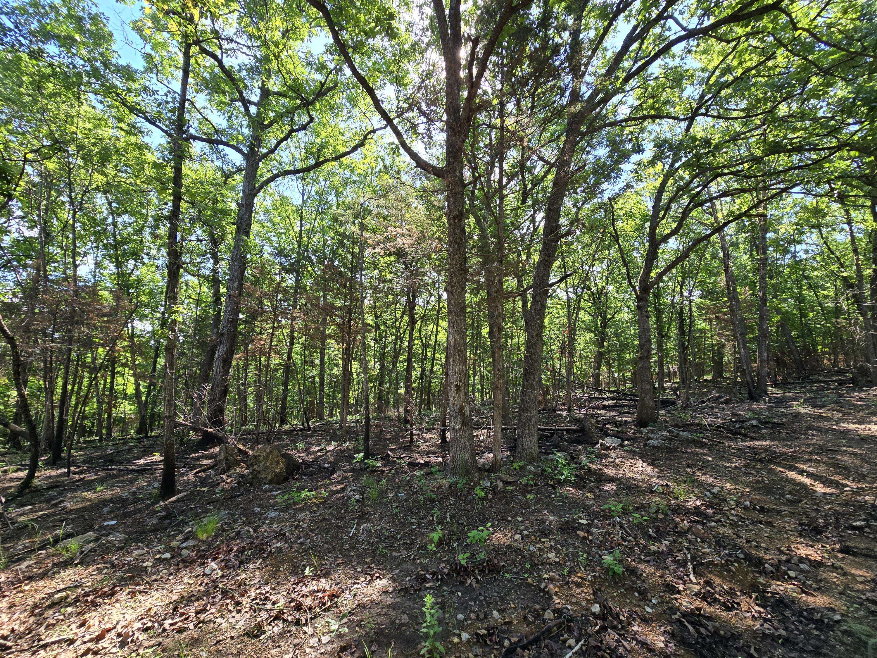 Lot 6 Block 12 Tall Oaks, Pittsburg, MO 65724