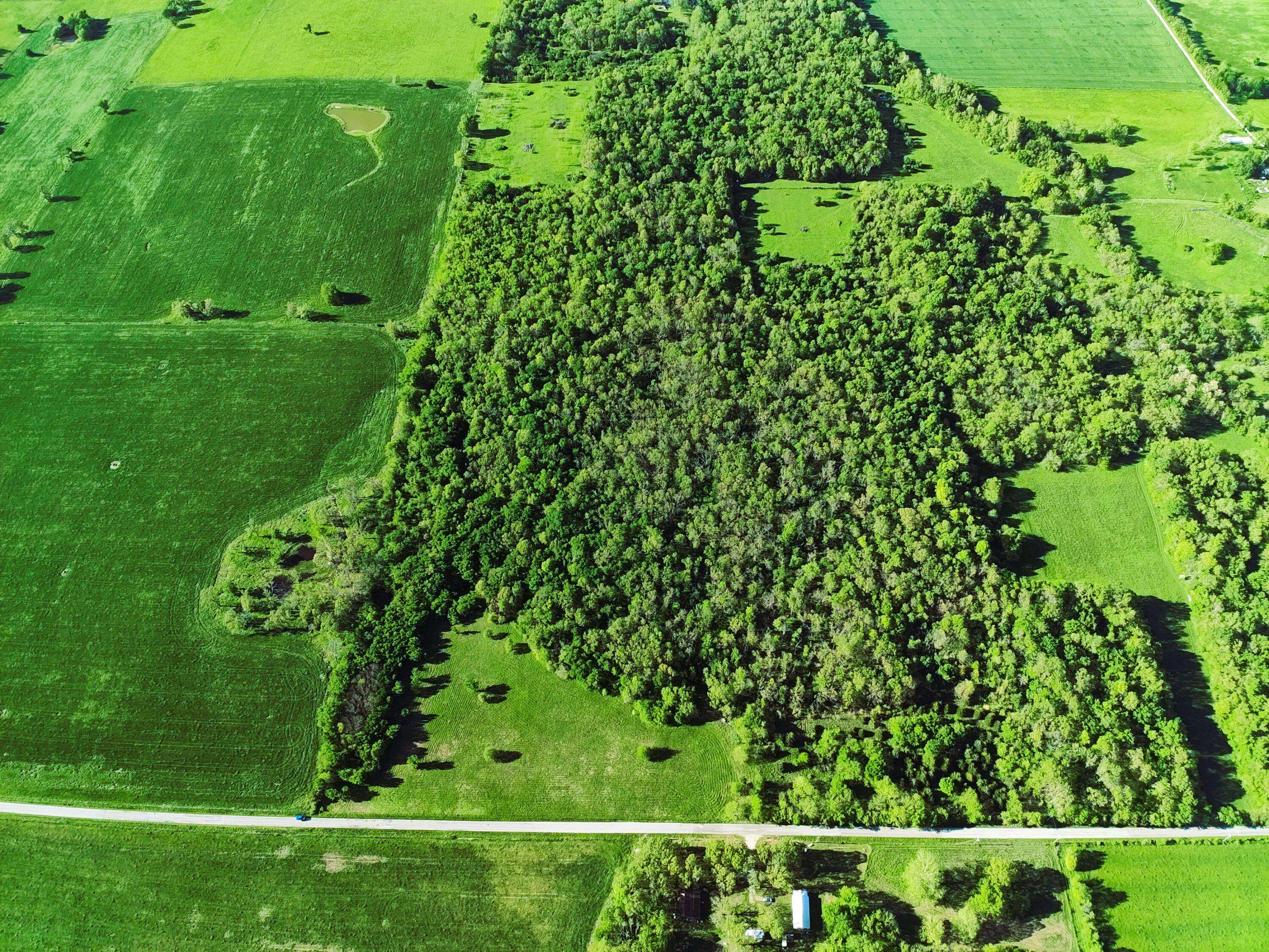 Tbd Lawrence 2190, Pierce City, MO 65723