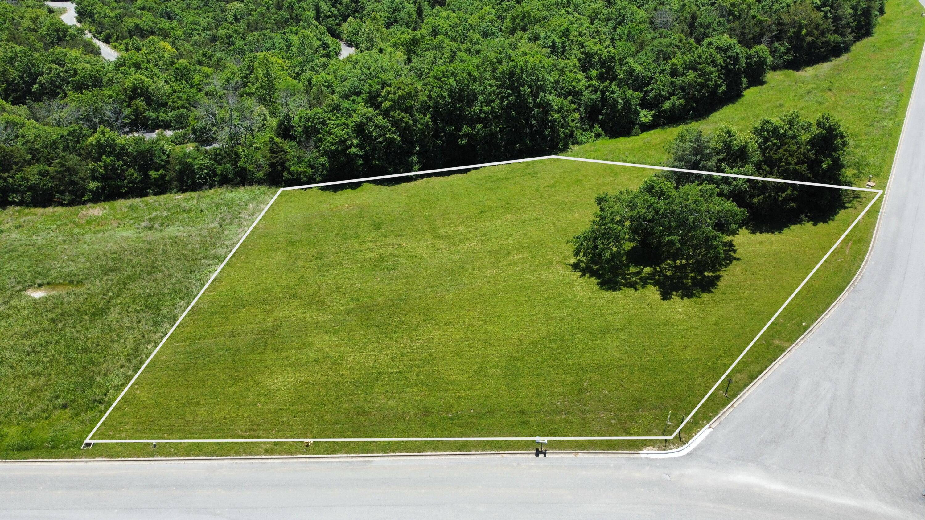 000 Emerald Pointe Drive Lot 243, Hollister, MO 65672