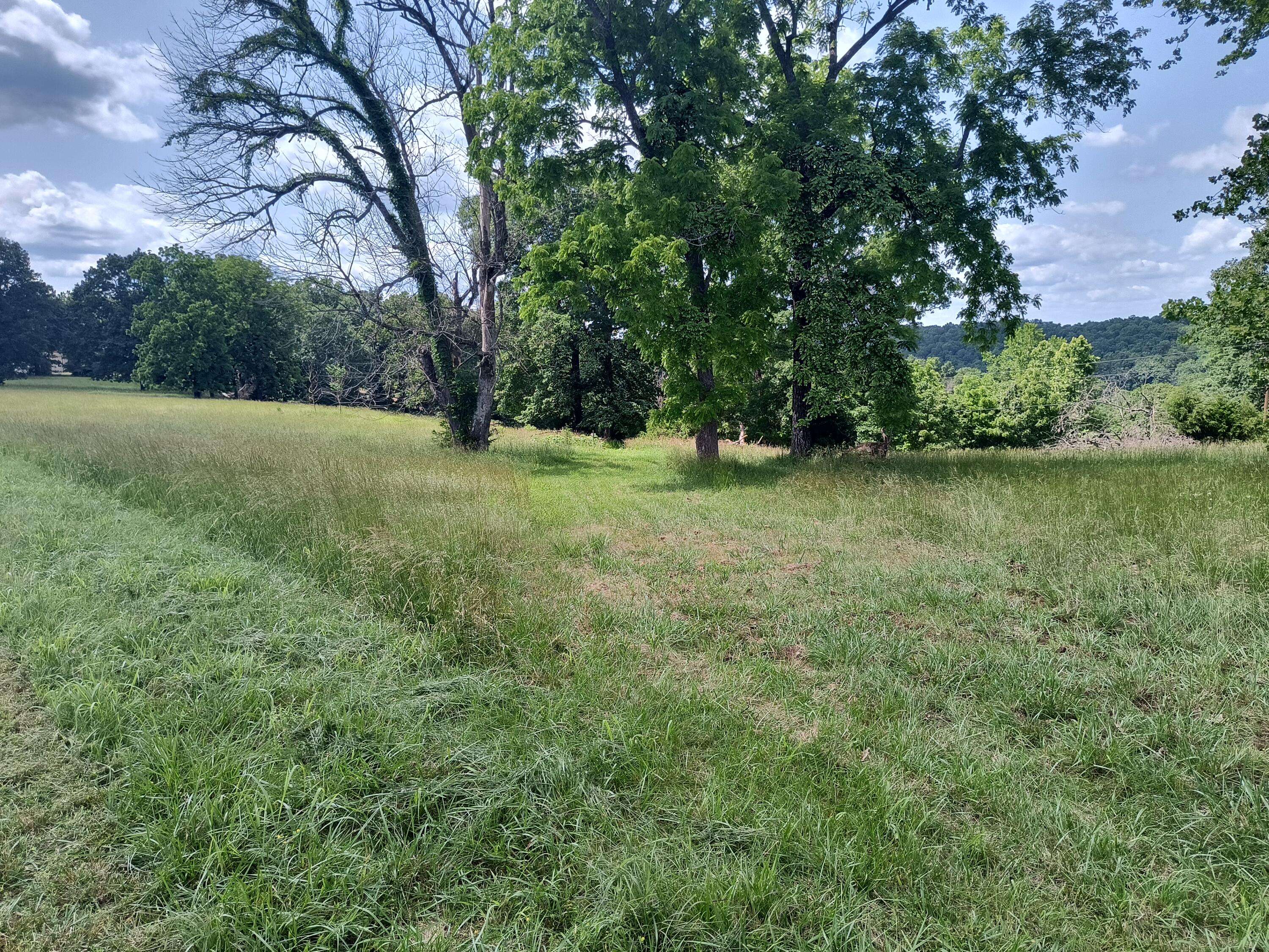 000 Eagle Wing DR, Theodosia, MO 65761