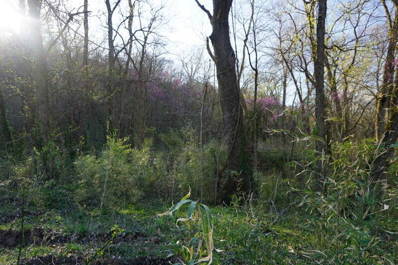 000 Iowa Colony RD, Hollister, MO 65672