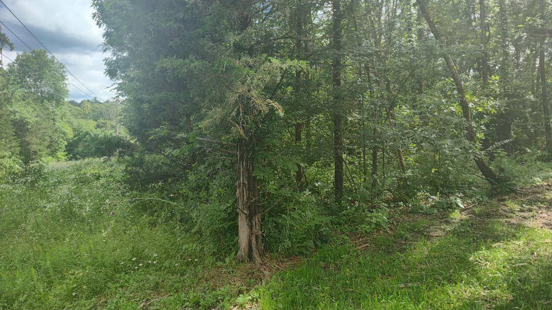 Lot142 143 Farm Road 1255, Shell Knob, MO 65747
