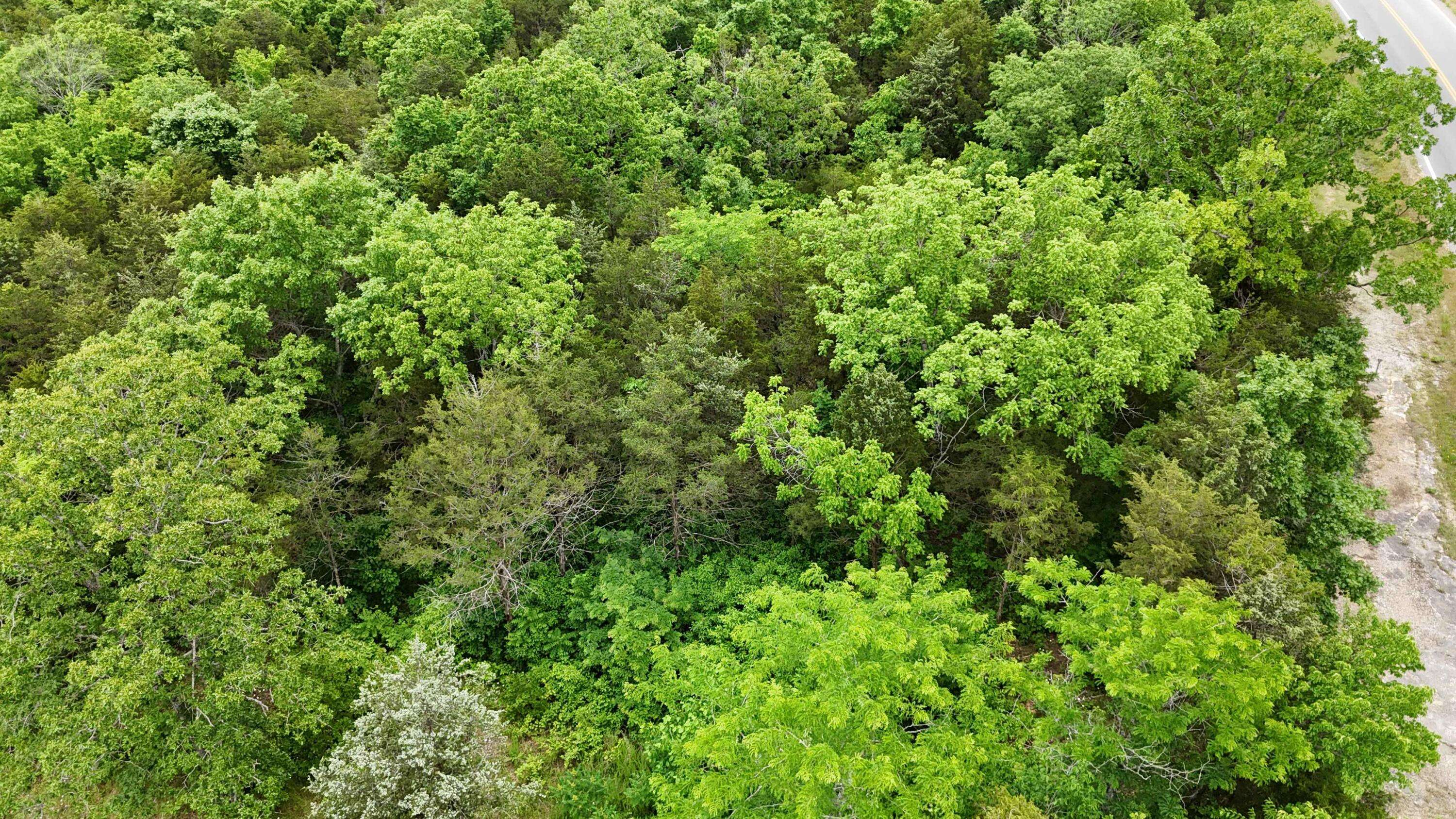 000 State Hwy 86, Eagle Rock, MO 65641