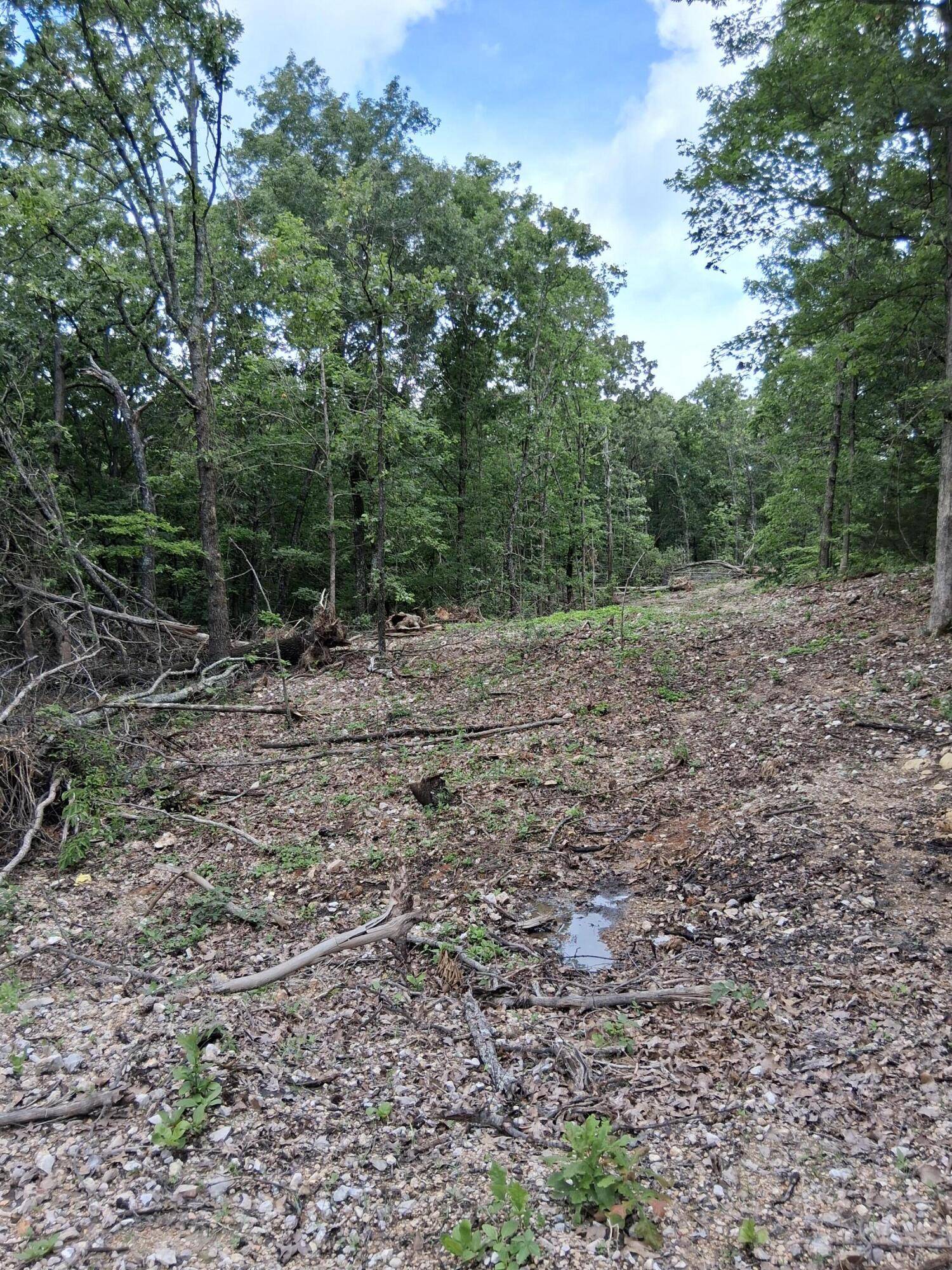 Tbd County Road 350, Dora, MO 65637