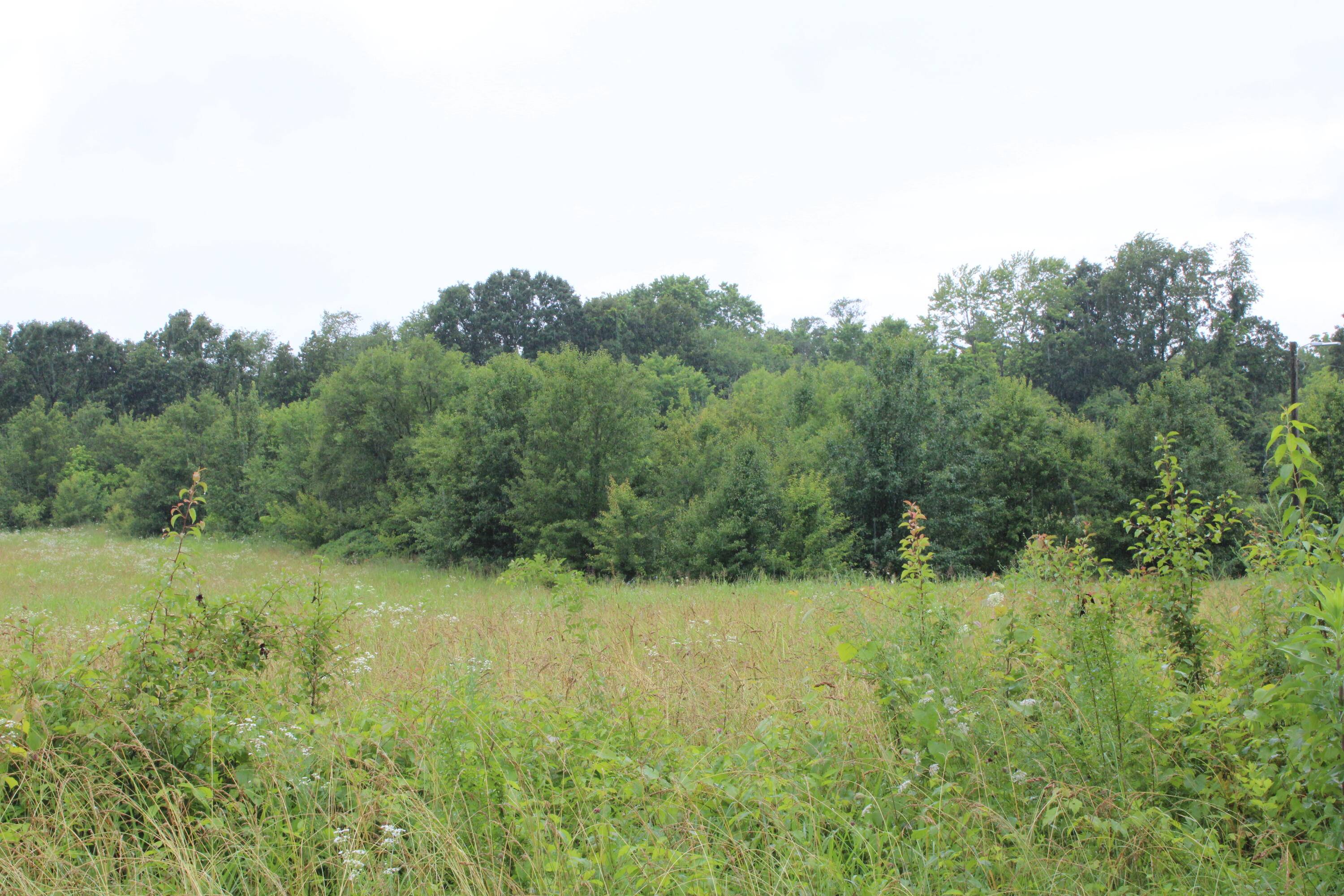 000 Lanton Road, West Plains, MO 65775