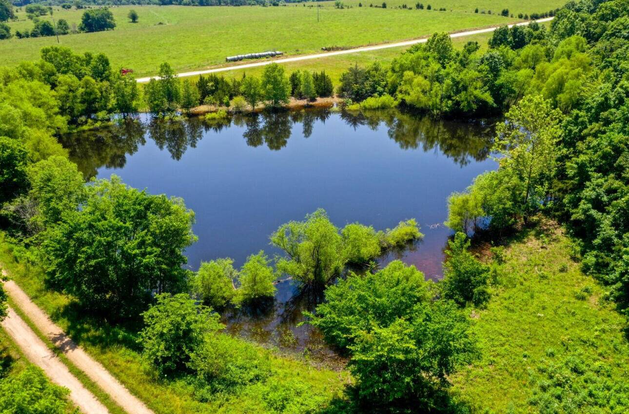 000 S 196th Road, Halfway, MO 65663