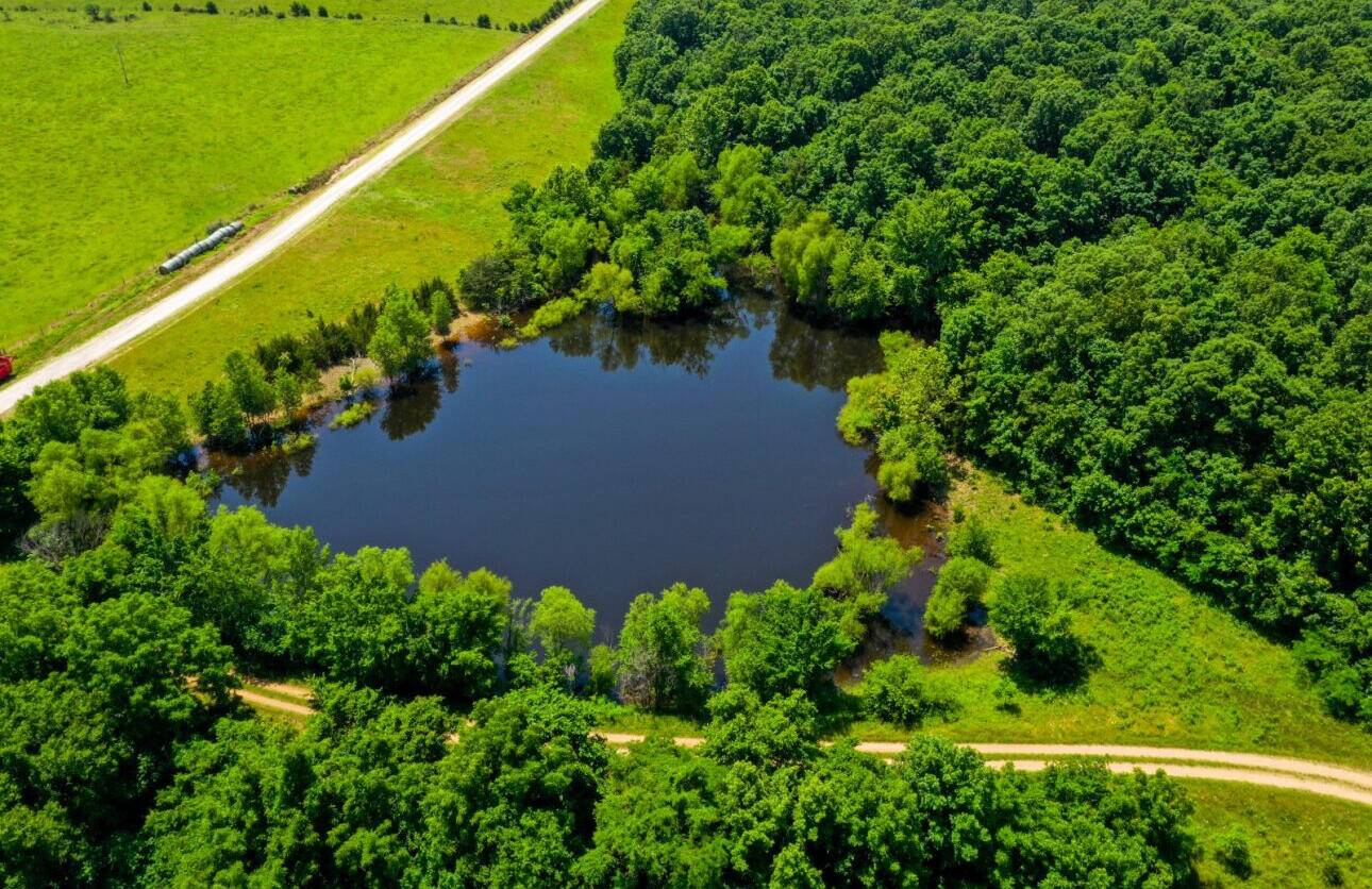 000 S 196th Road, Halfway, MO 65663