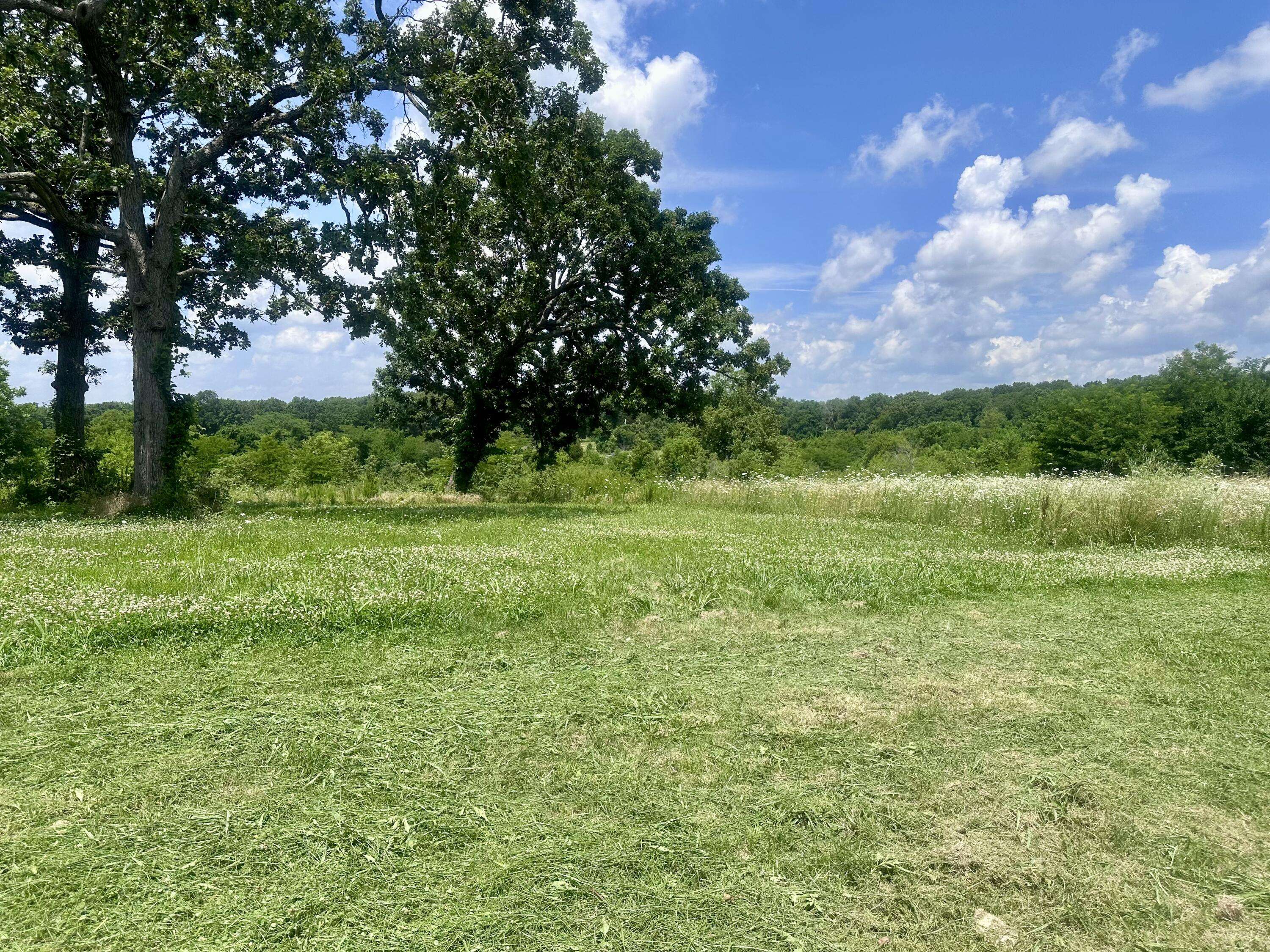 11975 E 1100 Road, Stockton, MO 65785