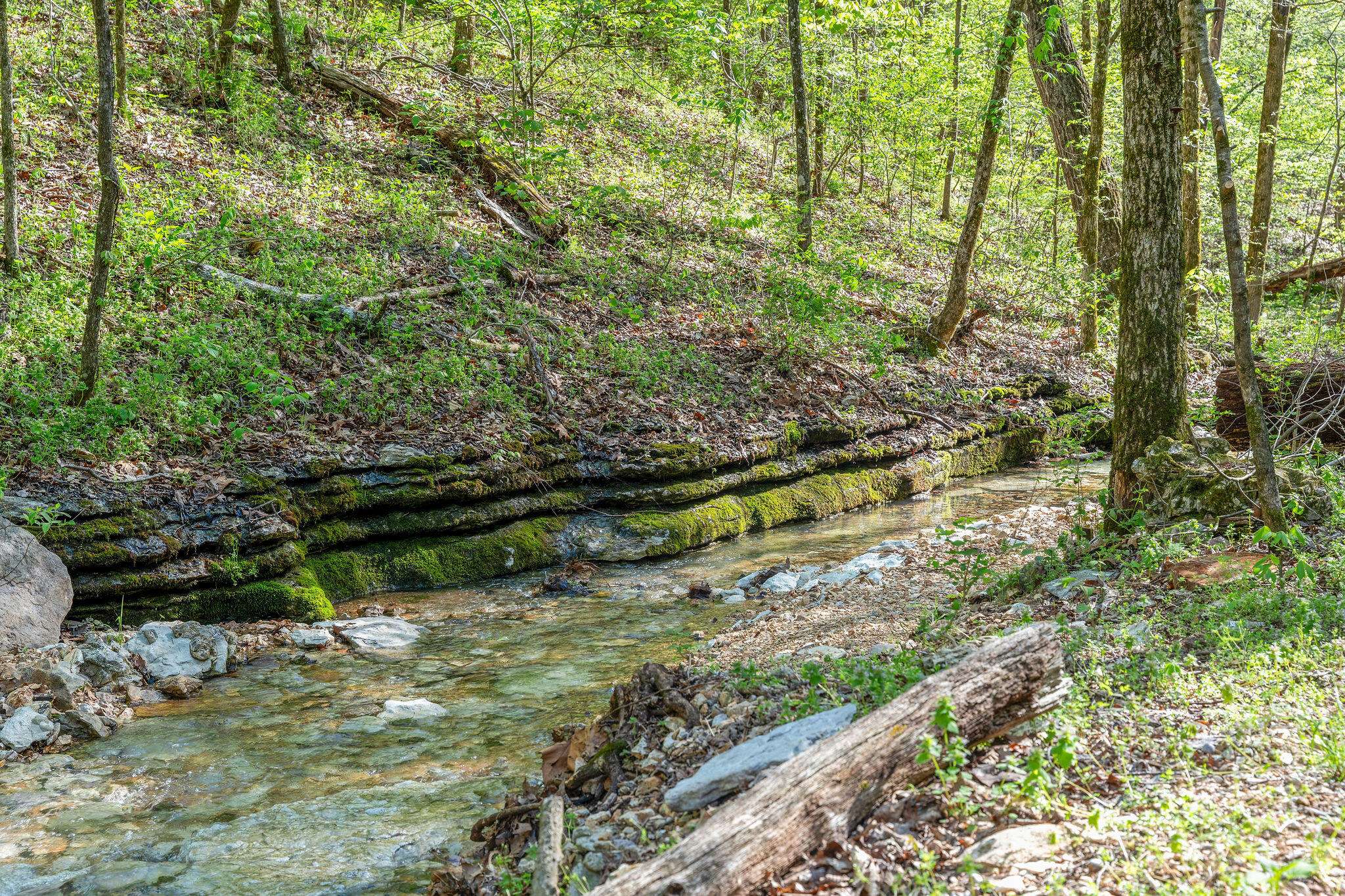 160 Old Horseshoe, Lampe, MO 65681