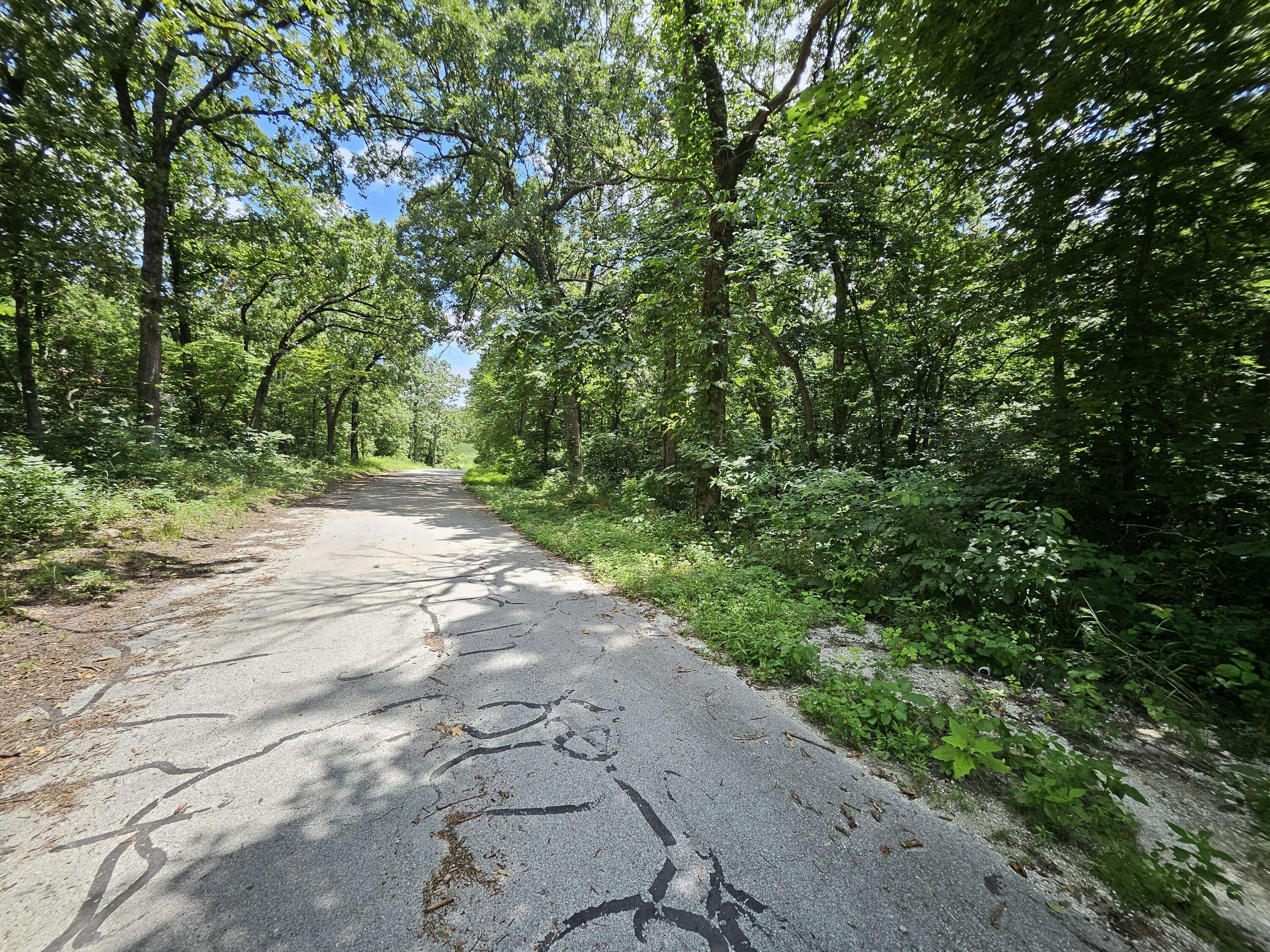 000 Dogwood Lane, Joplin, MO 64801