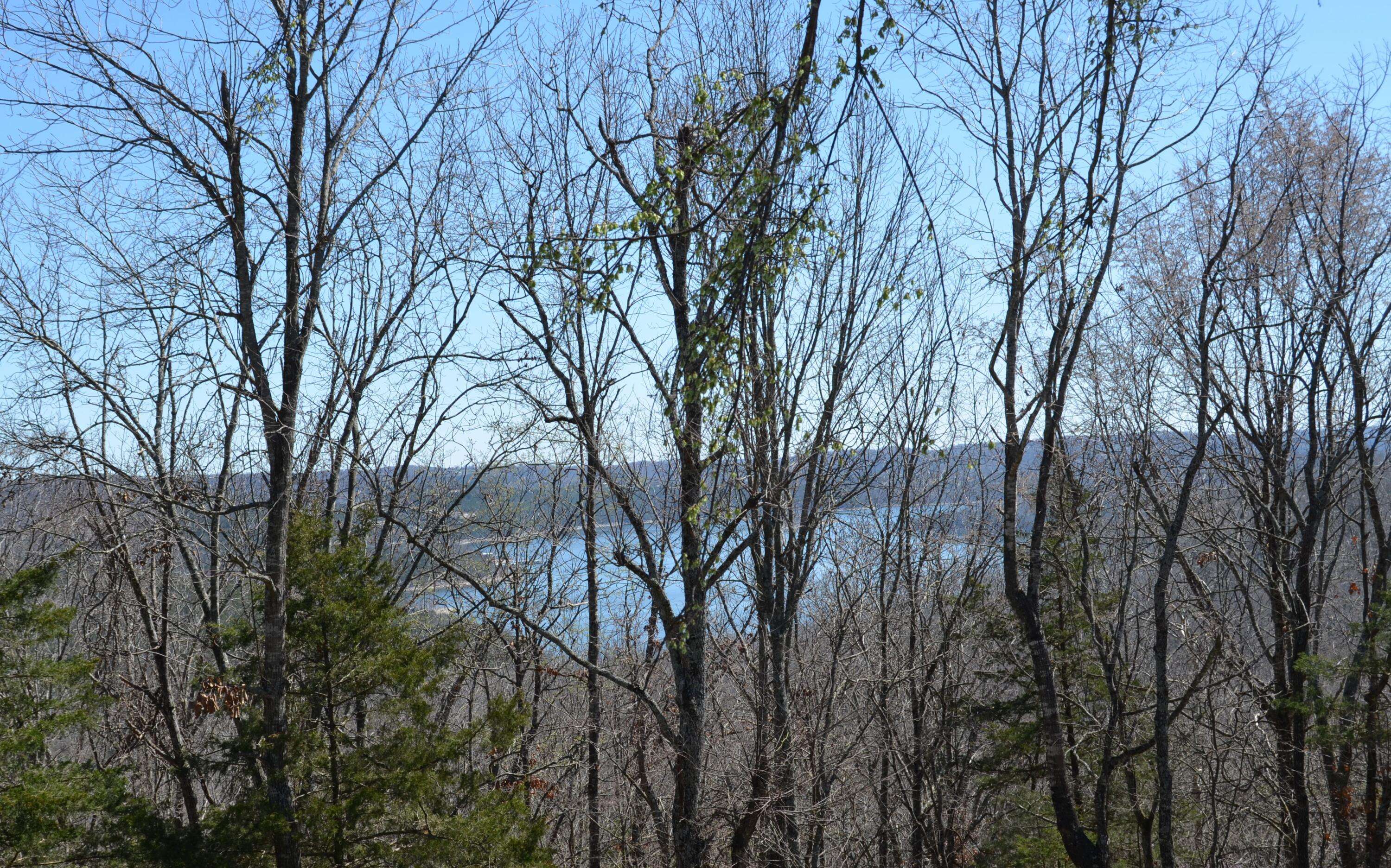 10 Acres Ice Box Cove LN, Galena, MO 65656