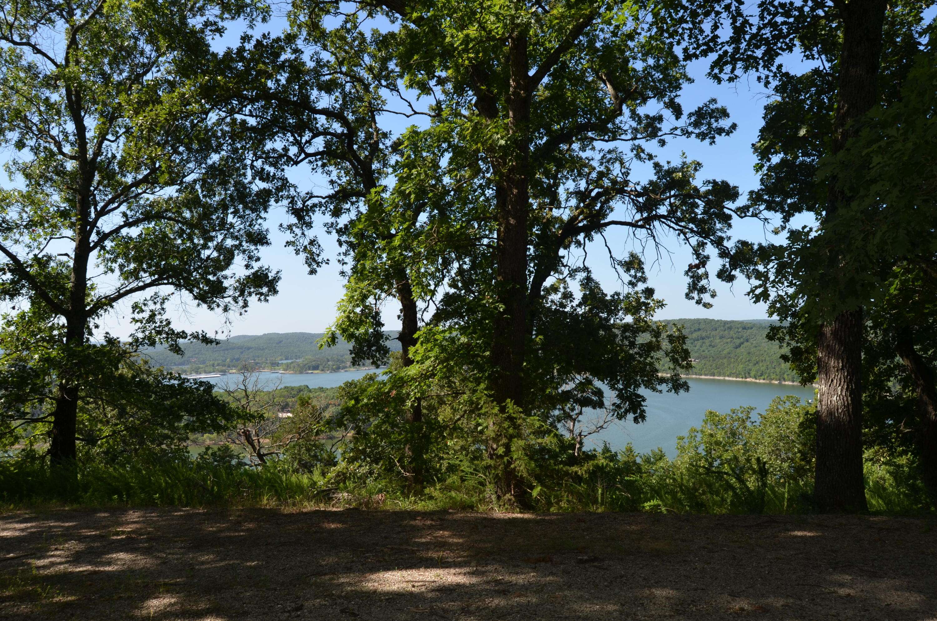 Lot 10 Cliffside DR, Galena, MO 65656
