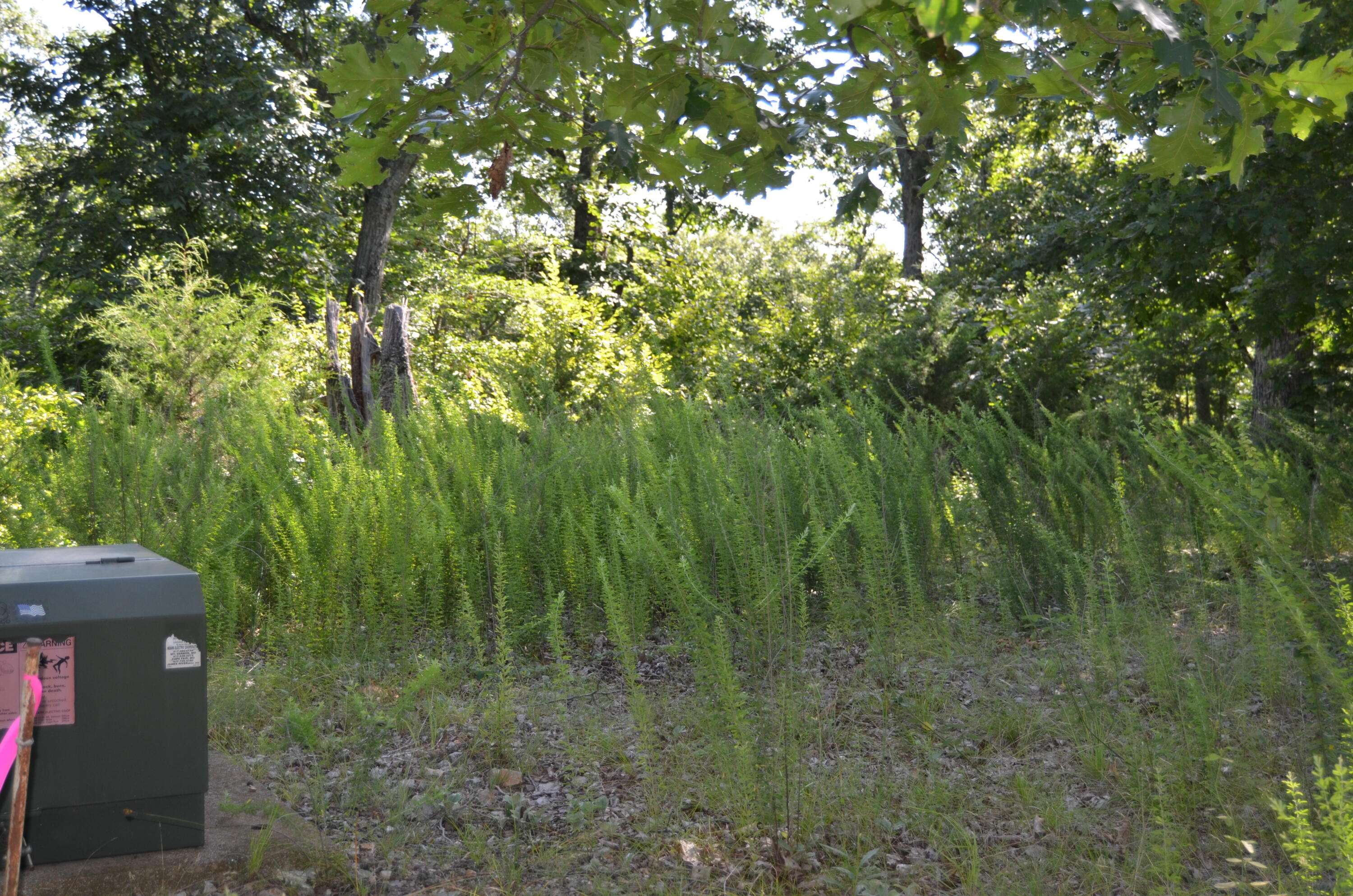 Lot 10 Cliffside DR, Galena, MO 65656