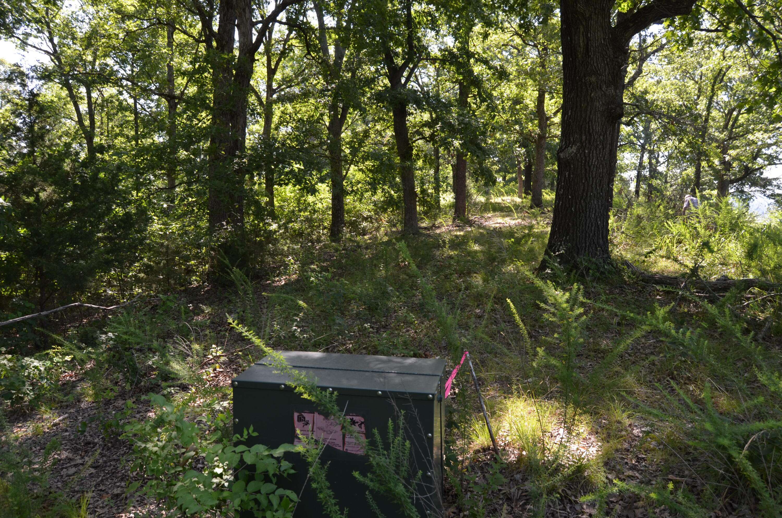 Lot 11 Cliffside DR, Galena, MO 65656