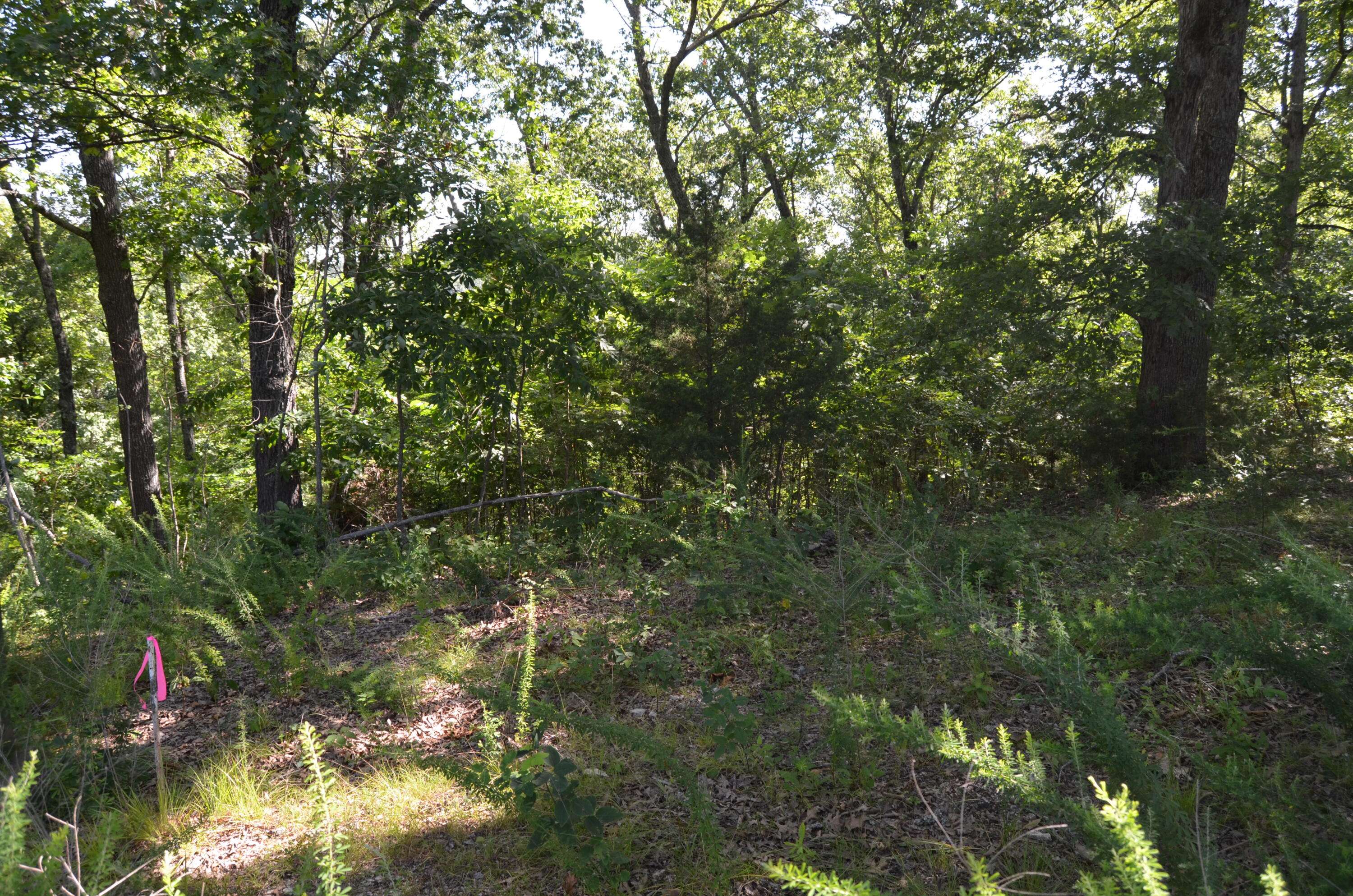 Lot 11 Cliffside DR, Galena, MO 65656