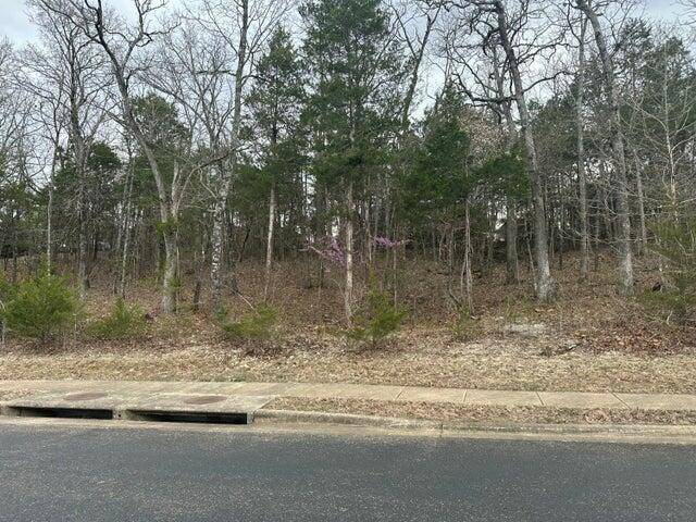 Lot 63 Royal Dornoch DR, Branson, MO 65616
