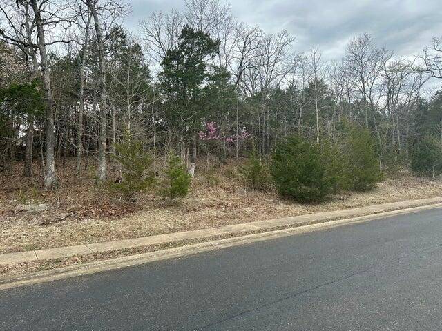 Lot 63 Royal Dornoch DR, Branson, MO 65616