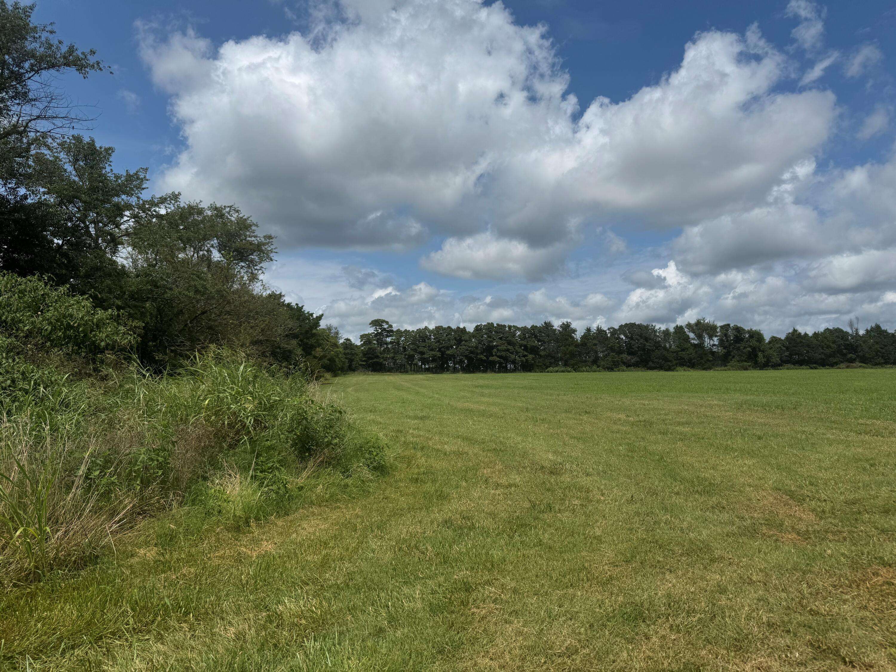 32673 State Highway 112, Seligman, MO 65745