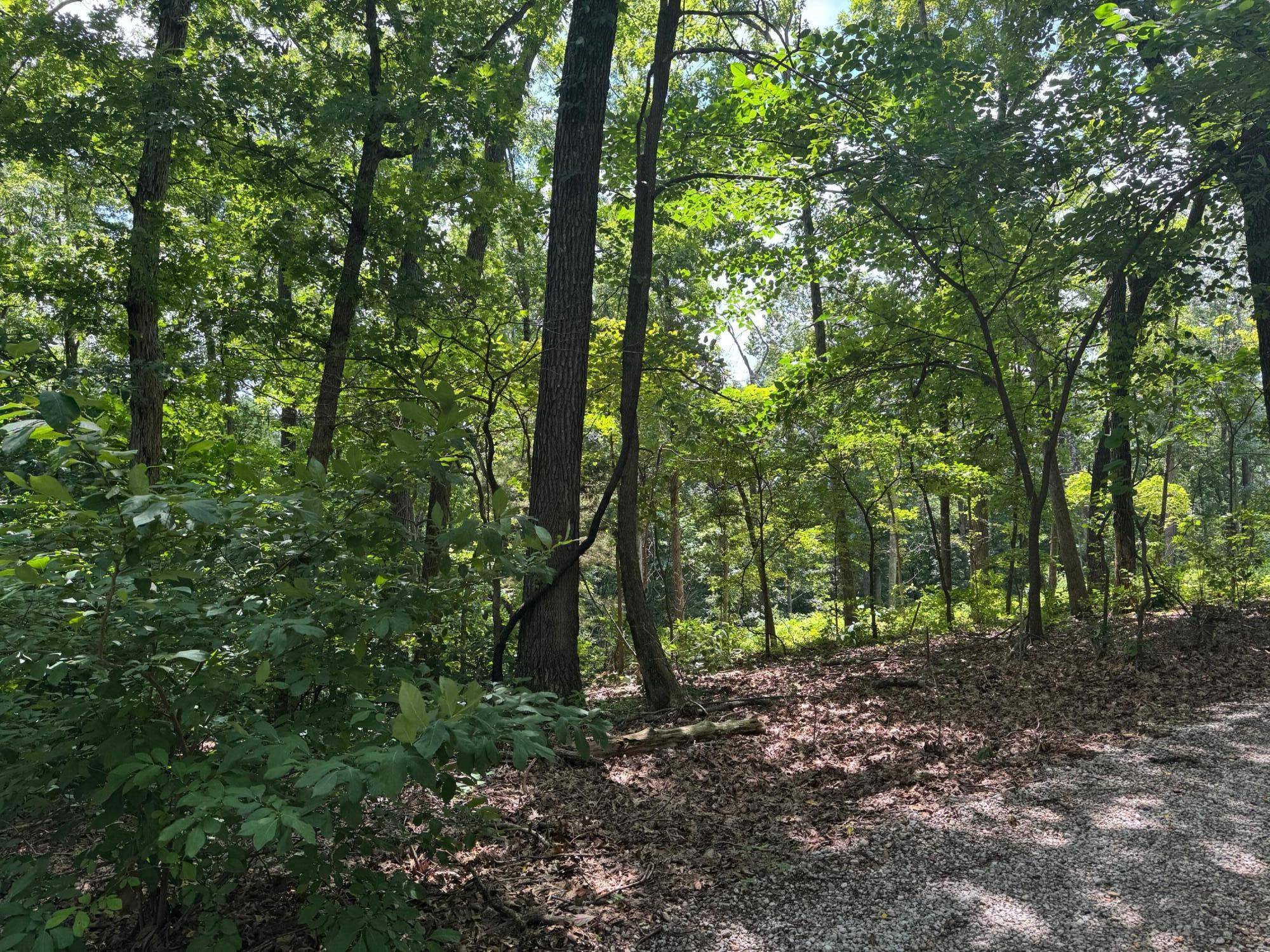 000 Twin Springs Drive, Cassville, MO 65625
