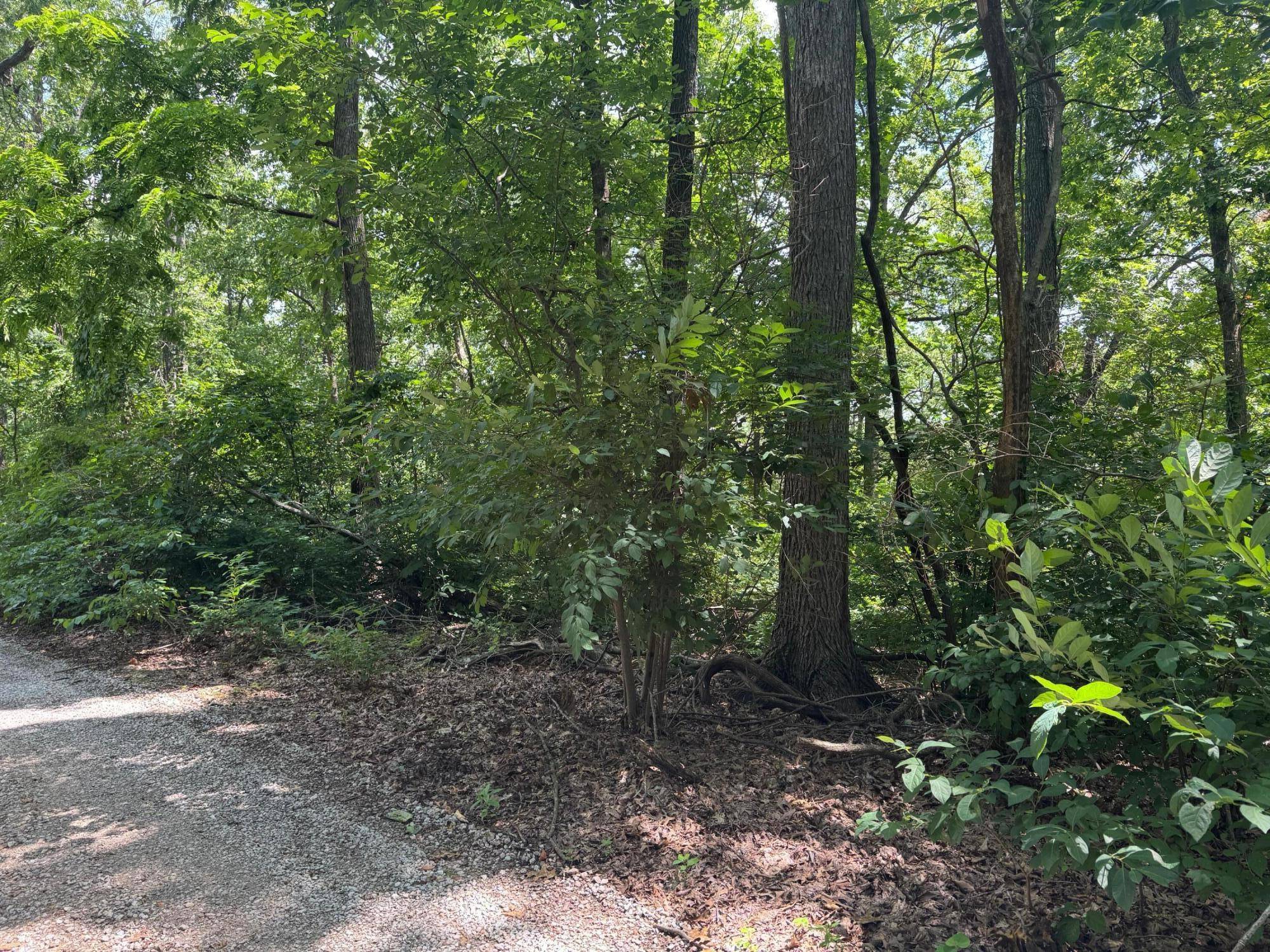 000 Twin Springs Drive, Cassville, MO 65625