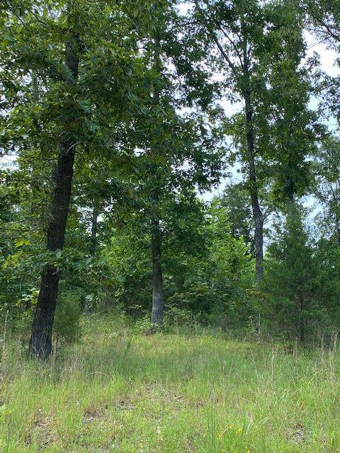 Tbd County Road 355 Lot 19, Dora, MO 65637